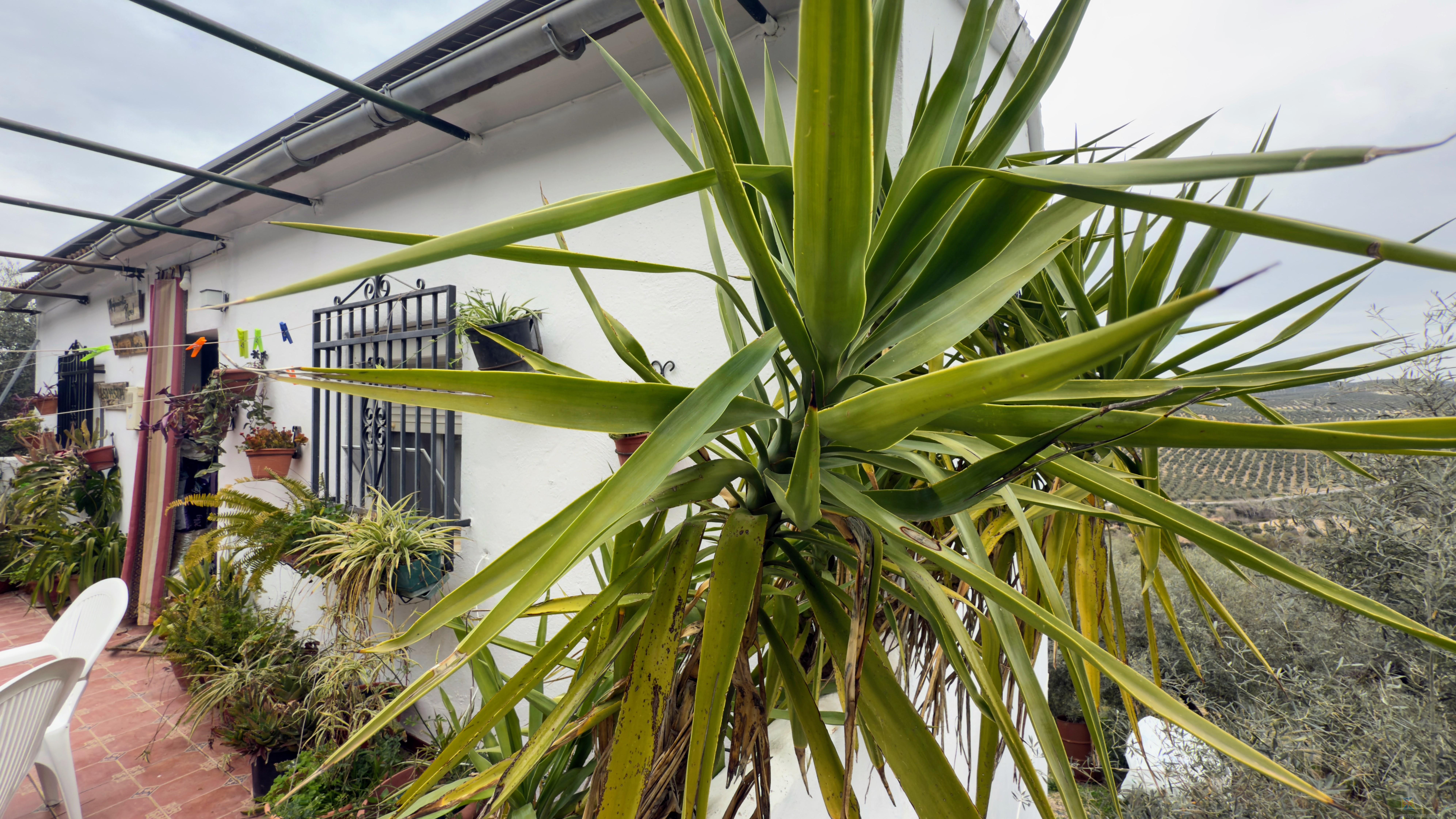 For sale of farmhouse in Villanueva de Algaidas