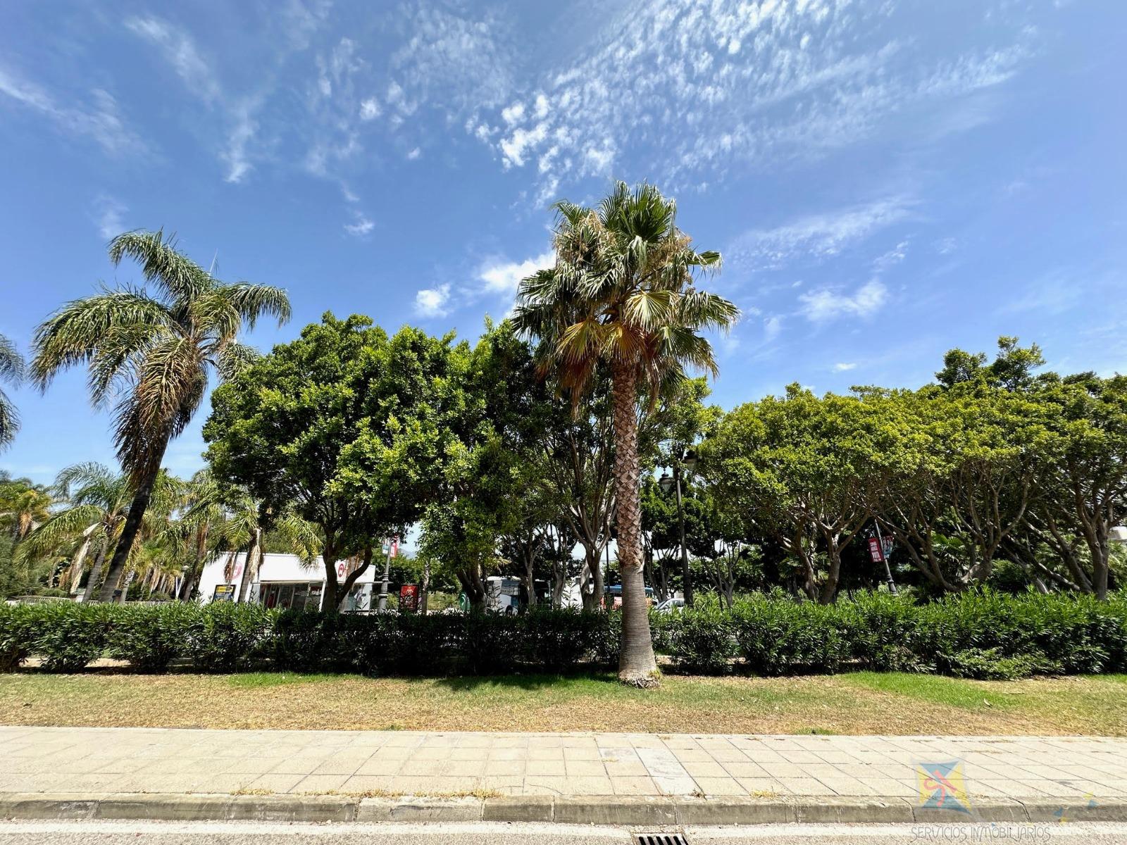 For sale of commercial in Estepona