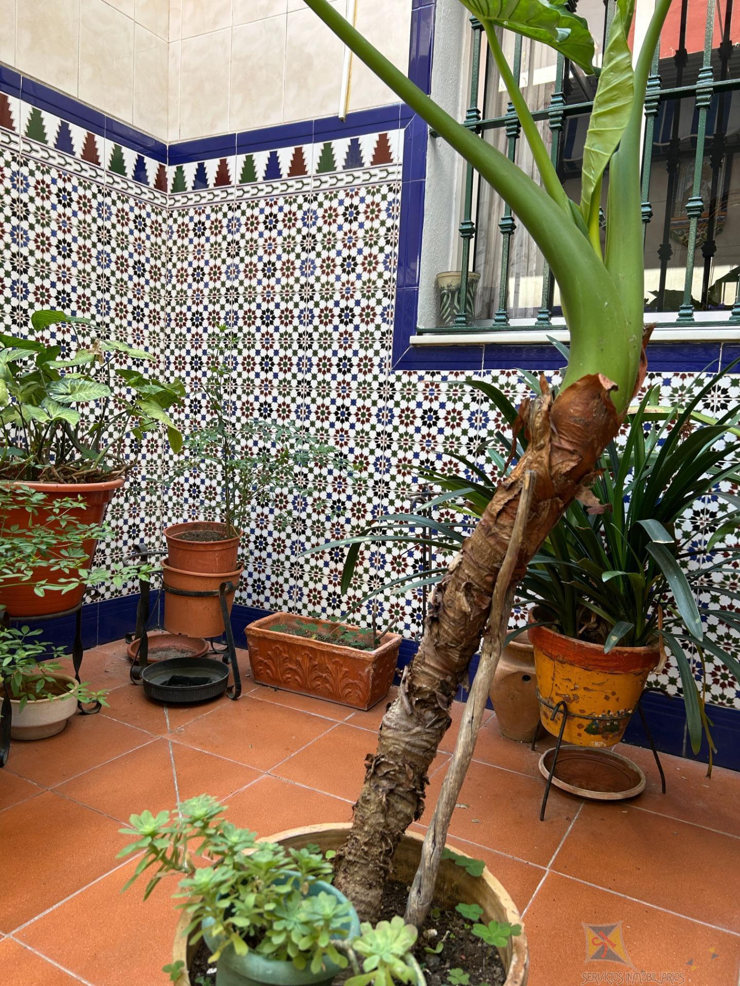 For sale of house in Mairena del Aljarafe