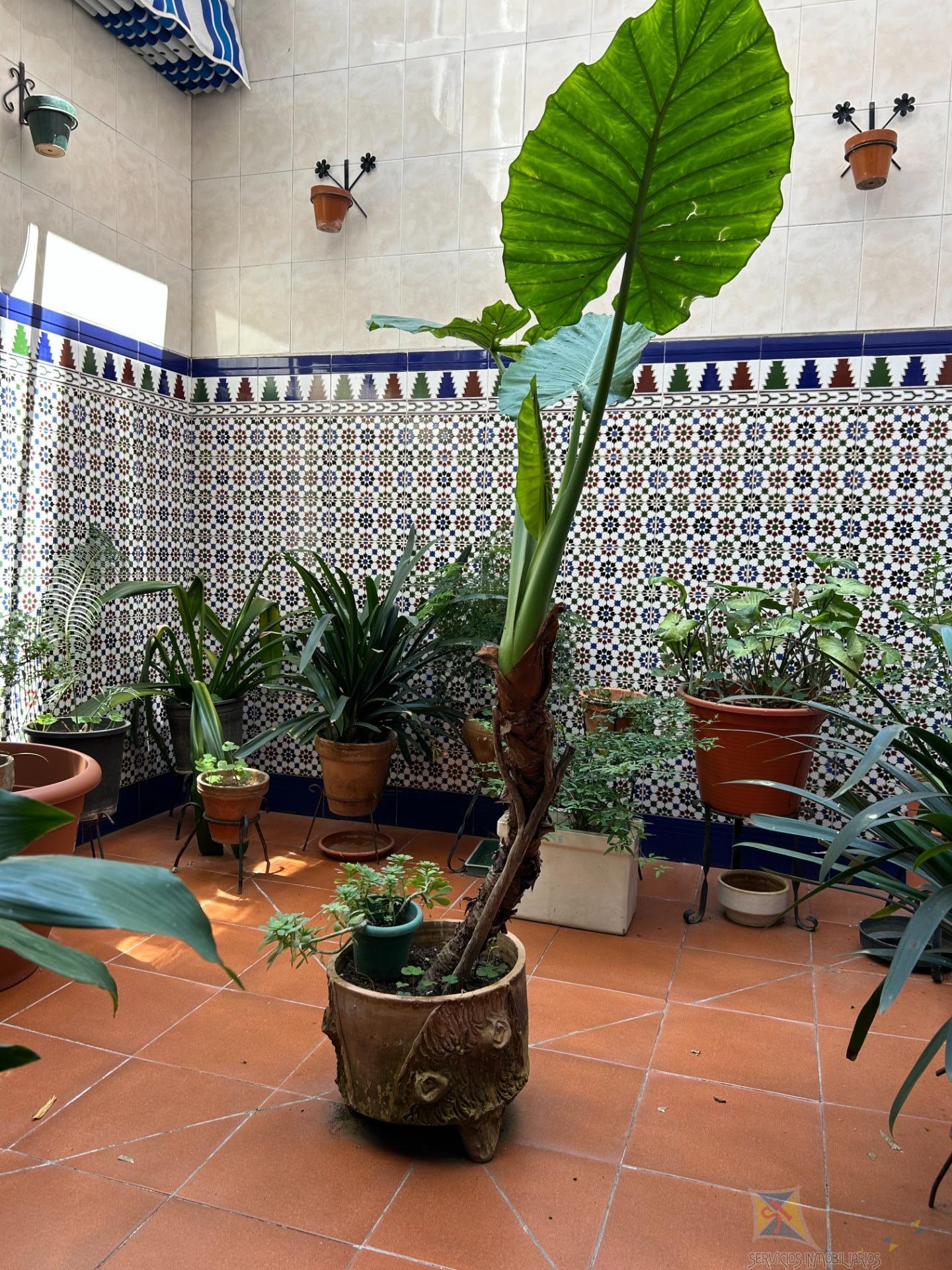 For sale of house in Mairena del Aljarafe