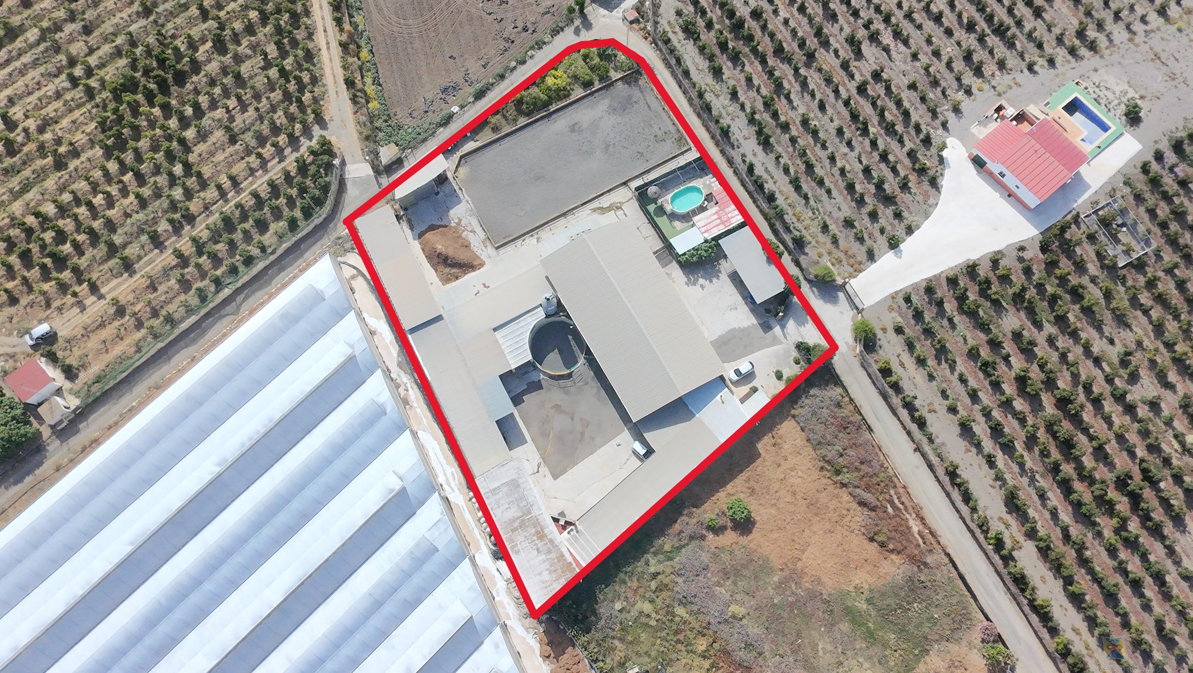 Venta de cortijo en Torre del mar