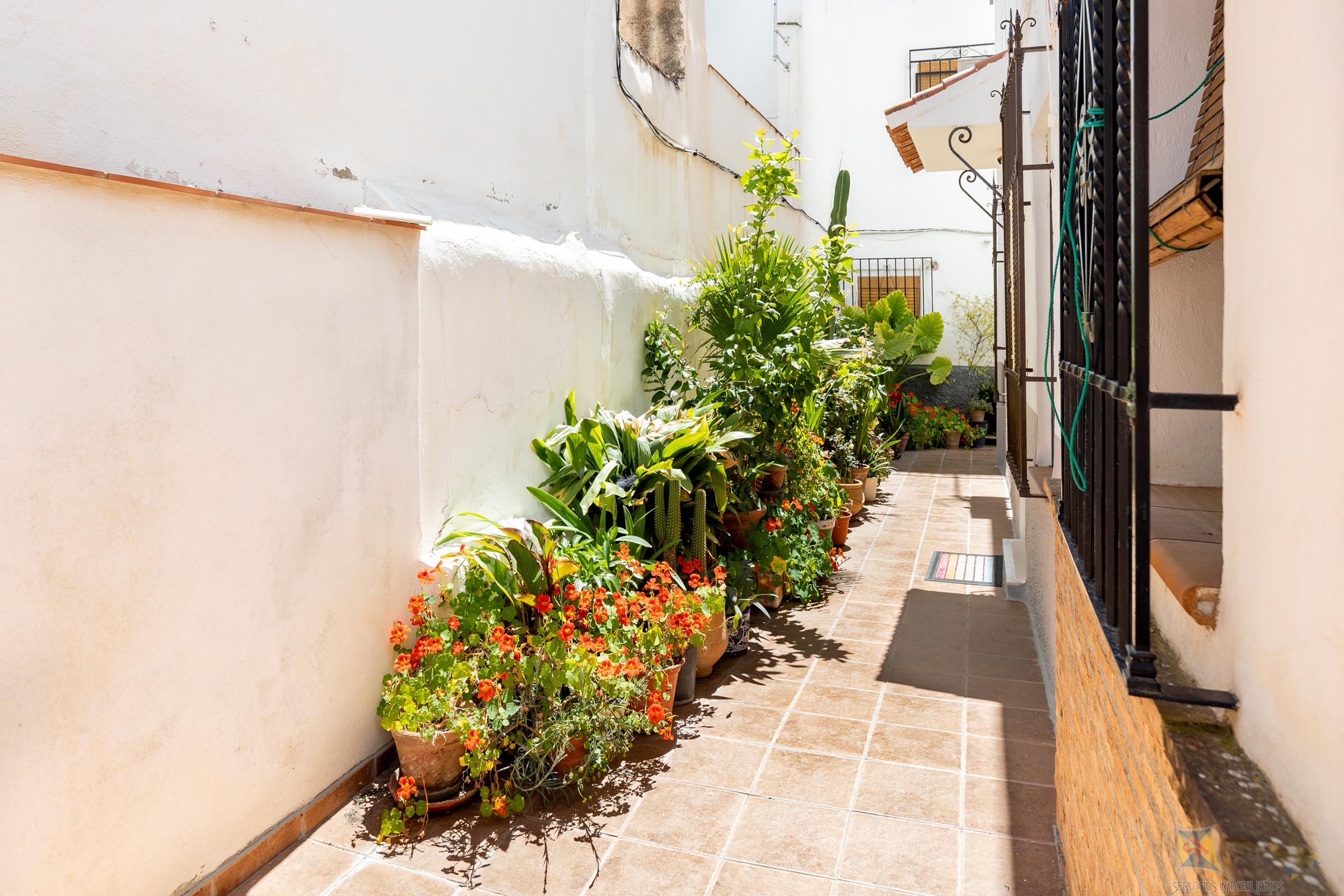 For sale of villa in Granada