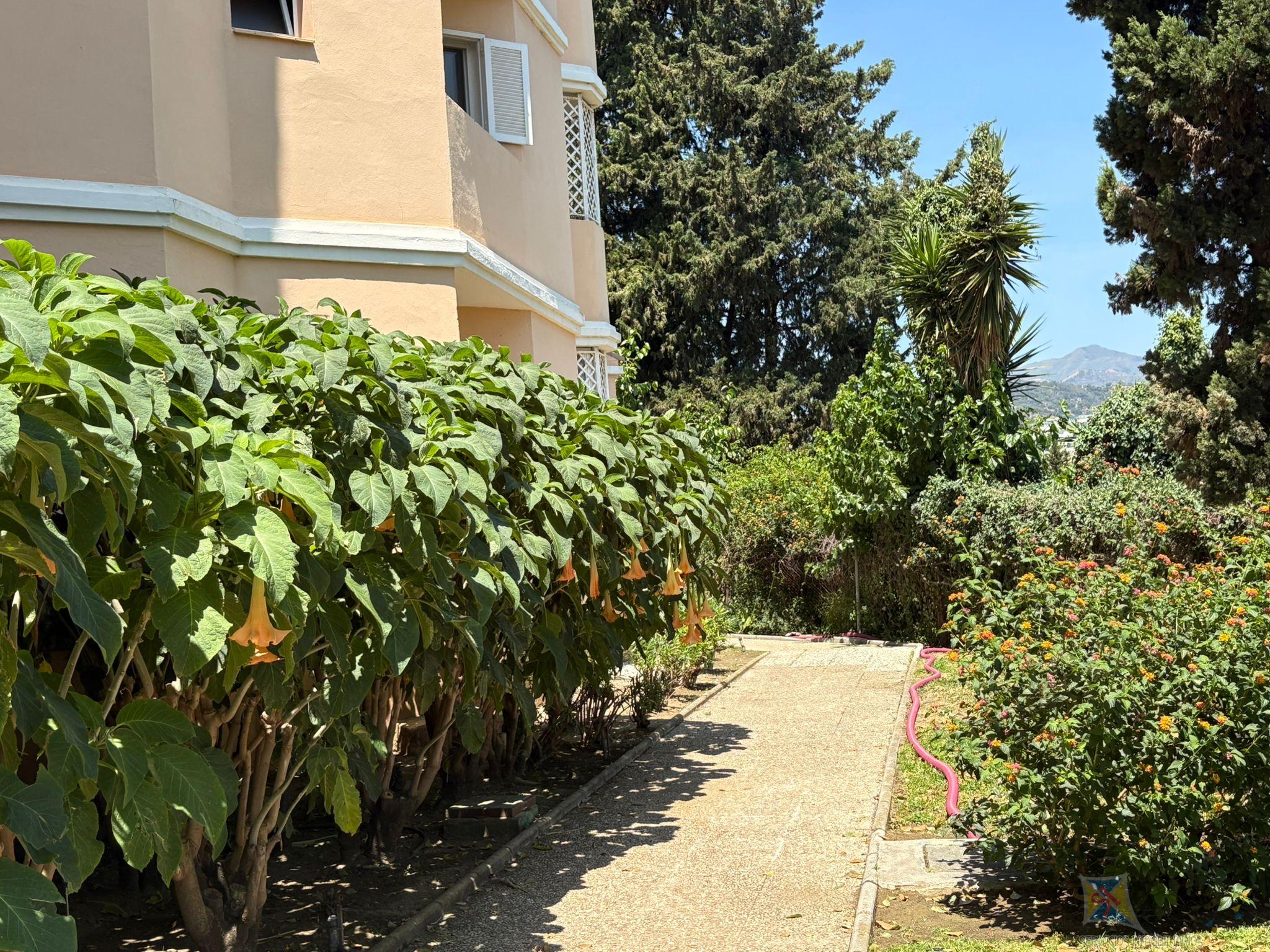 For sale of apartment in Estepona