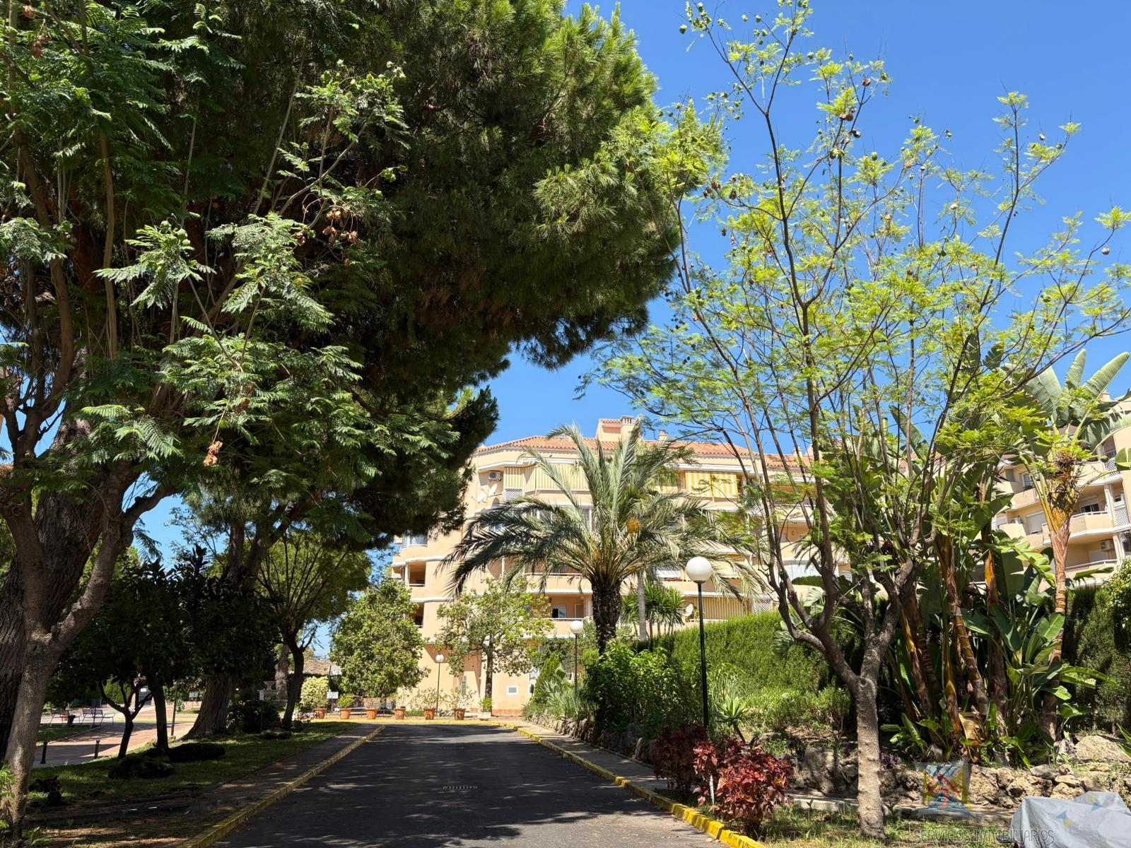 For sale of apartment in Estepona