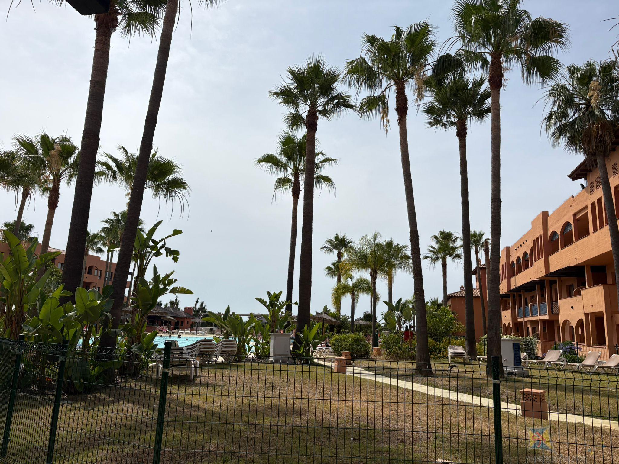 For sale of apartment in Estepona