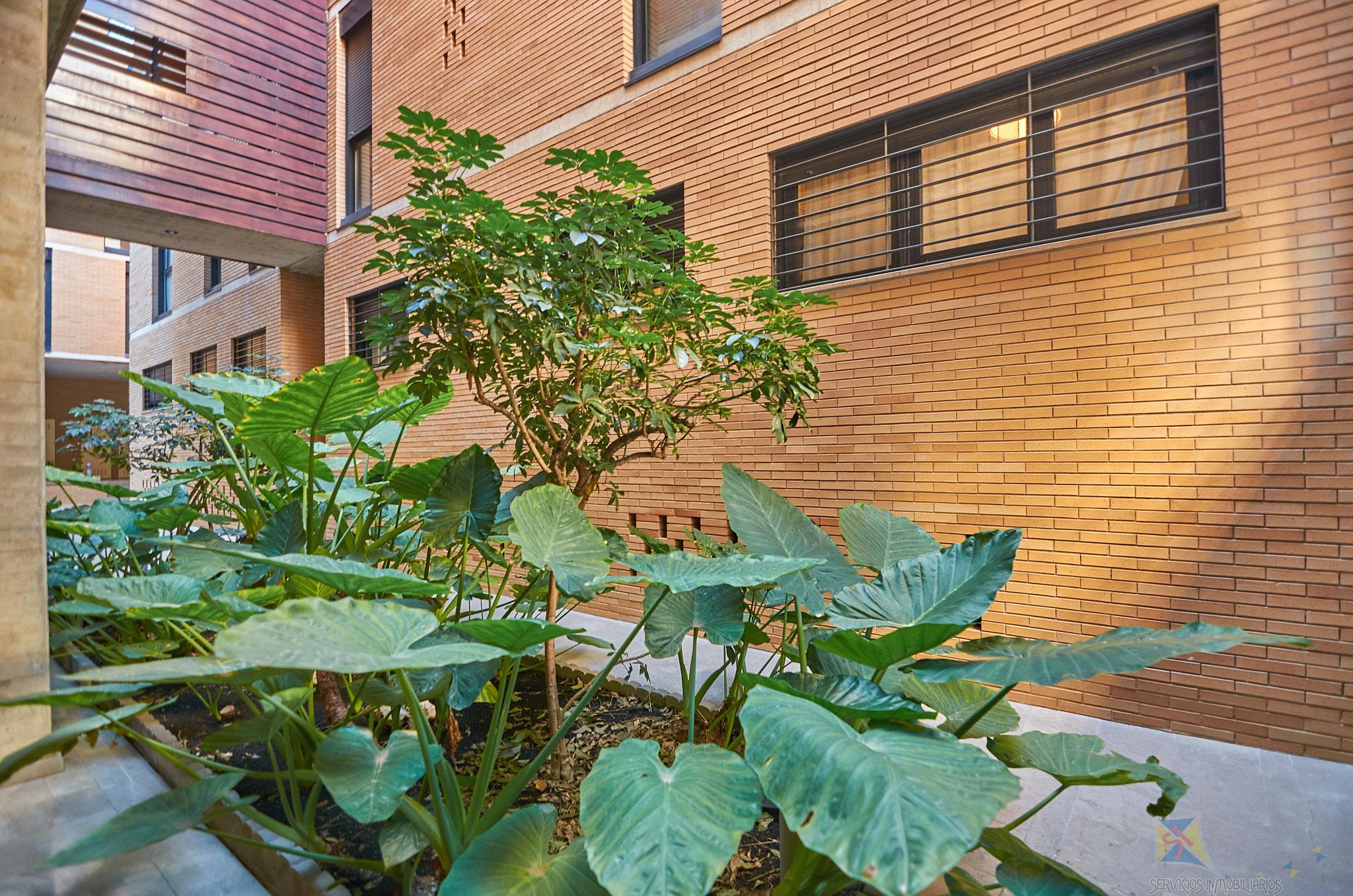 For sale of apartment in Málaga