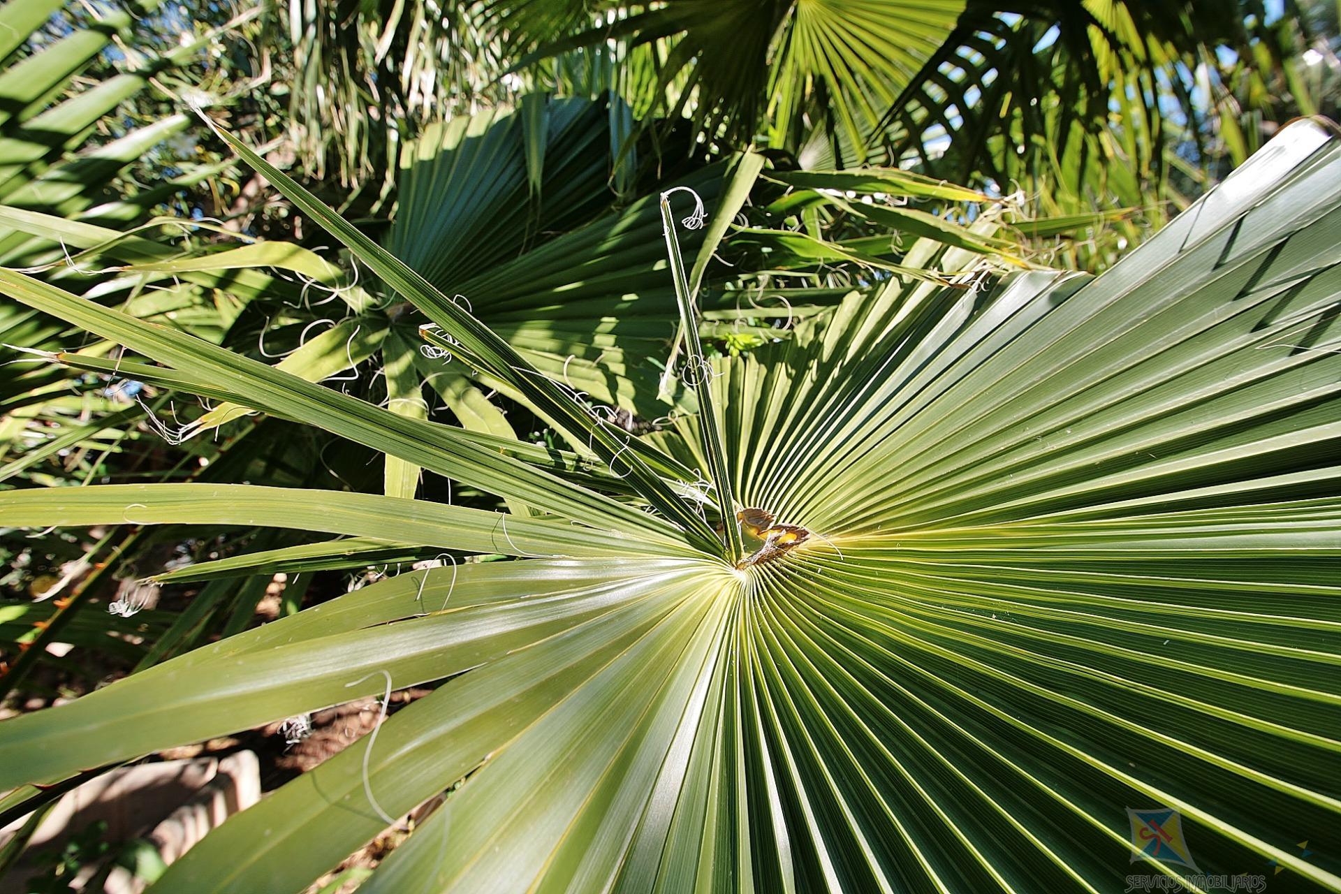 Venta de villa en Níjar