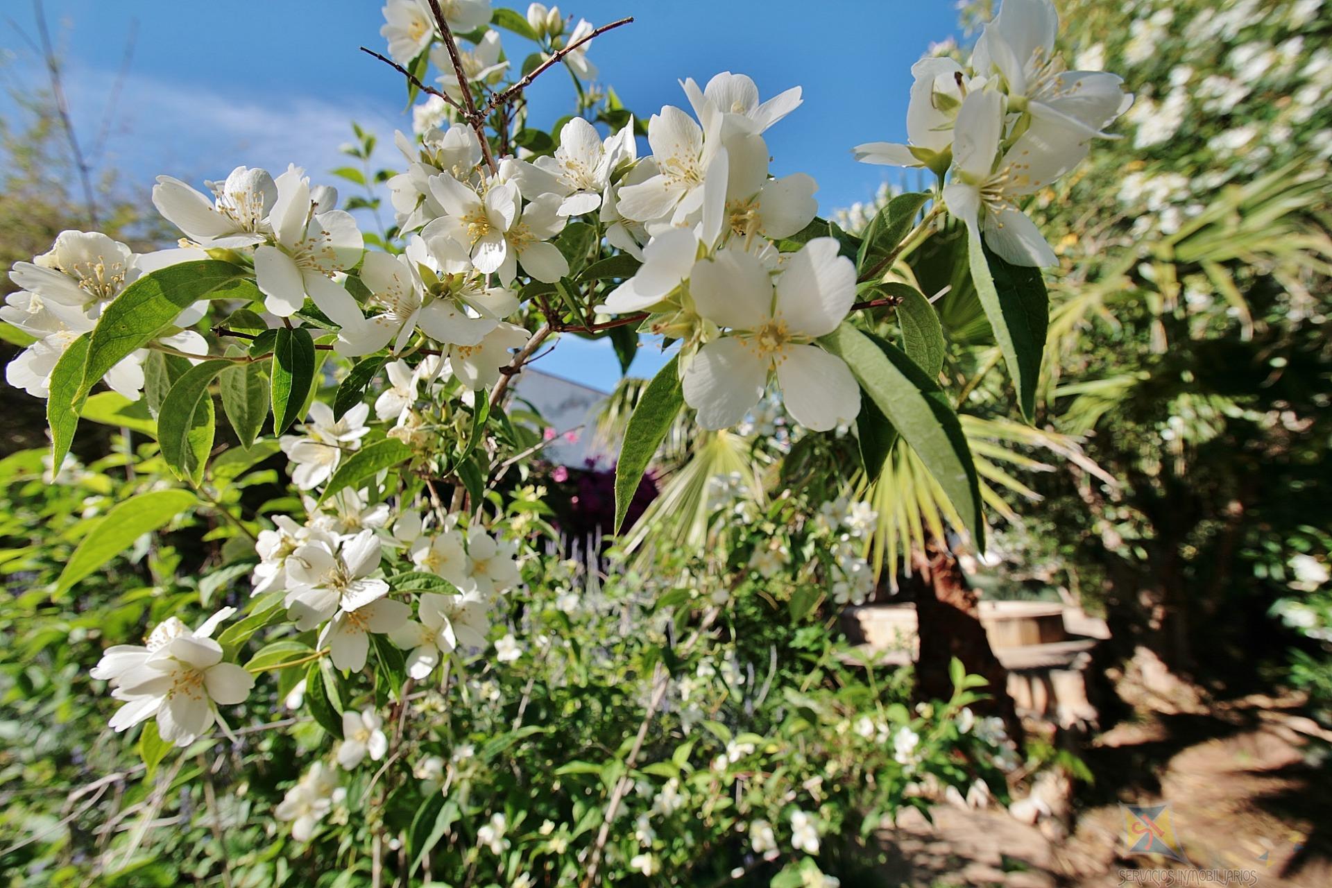 Venta de villa en Níjar