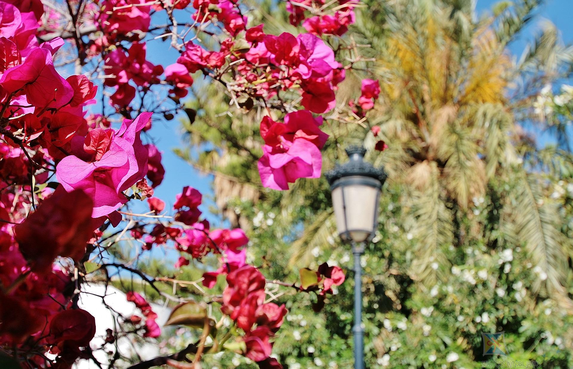 Venta de villa en Níjar