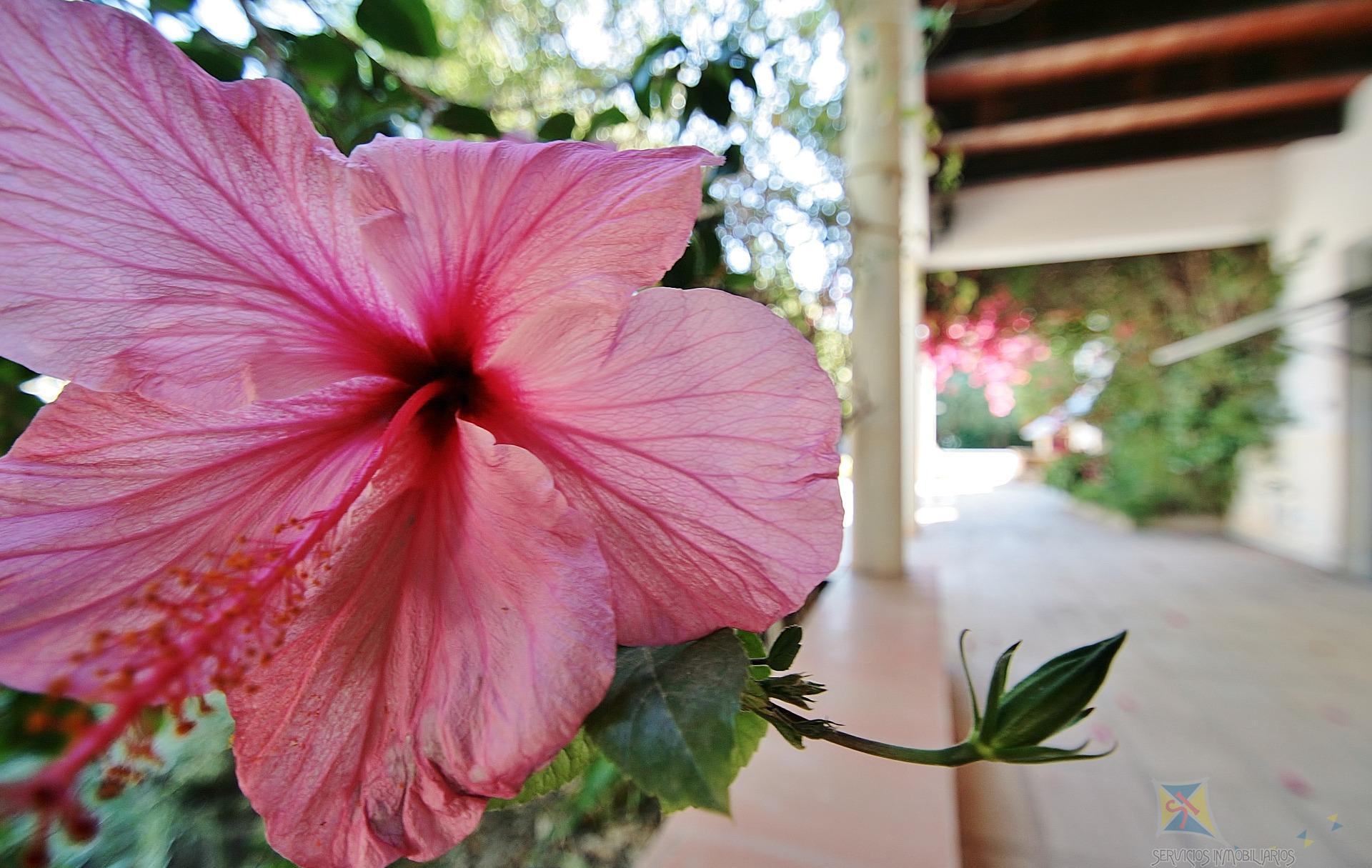 Venta de villa en Níjar