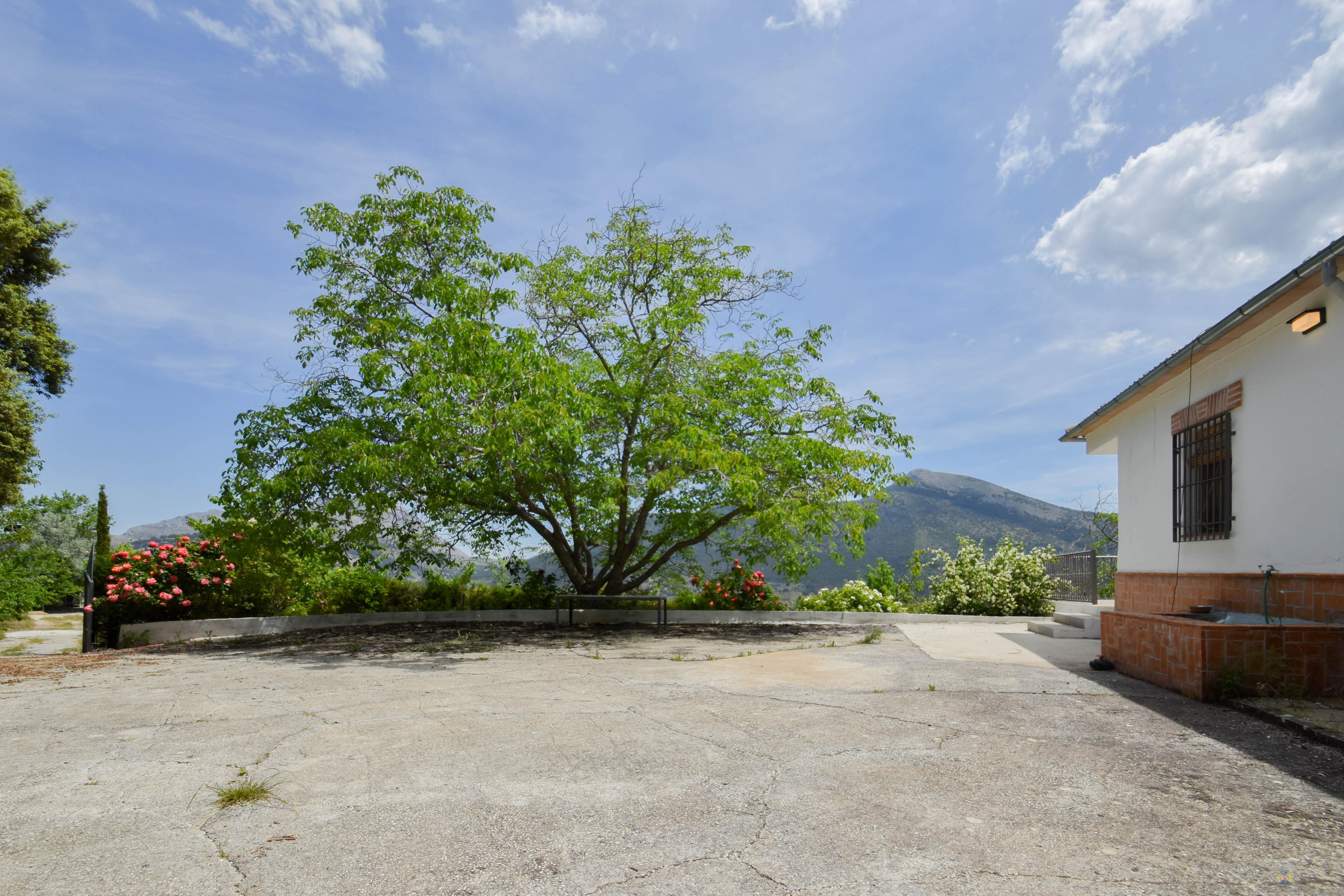 For sale of house in Jaén