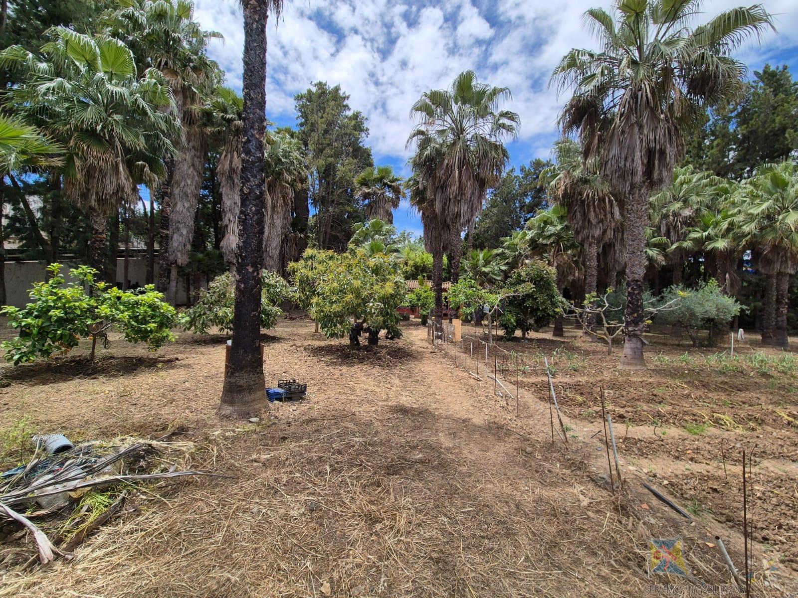 For sale of house in Estepona
