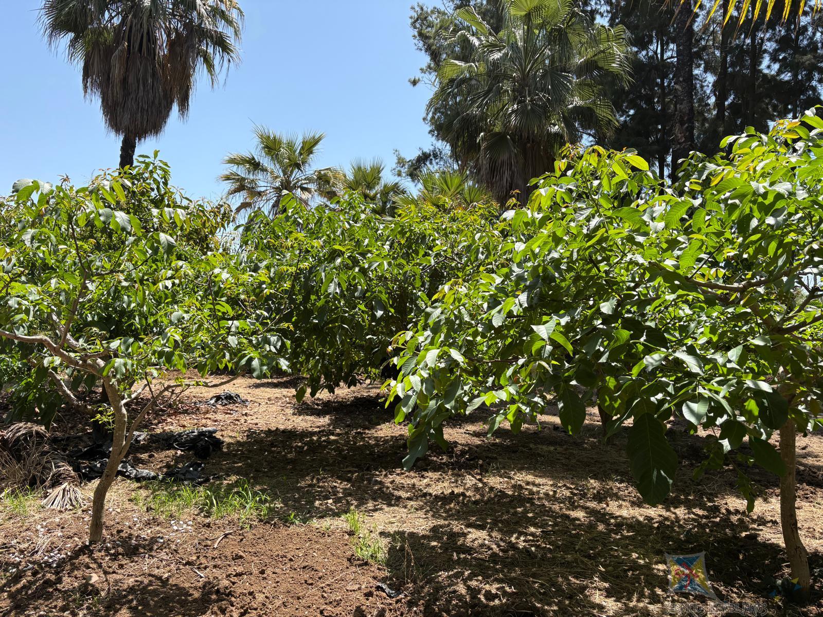 For sale of house in Estepona