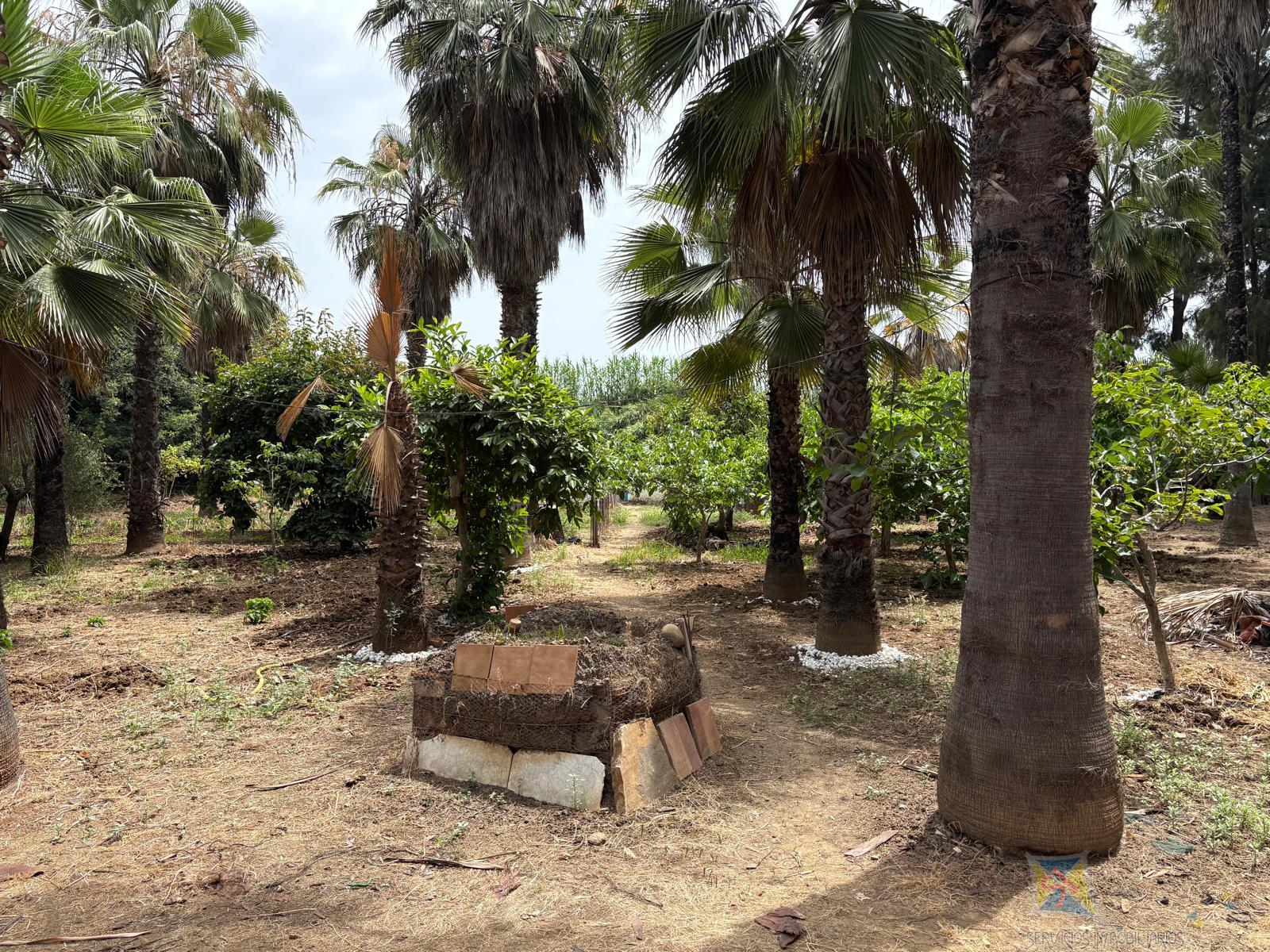For sale of house in Estepona