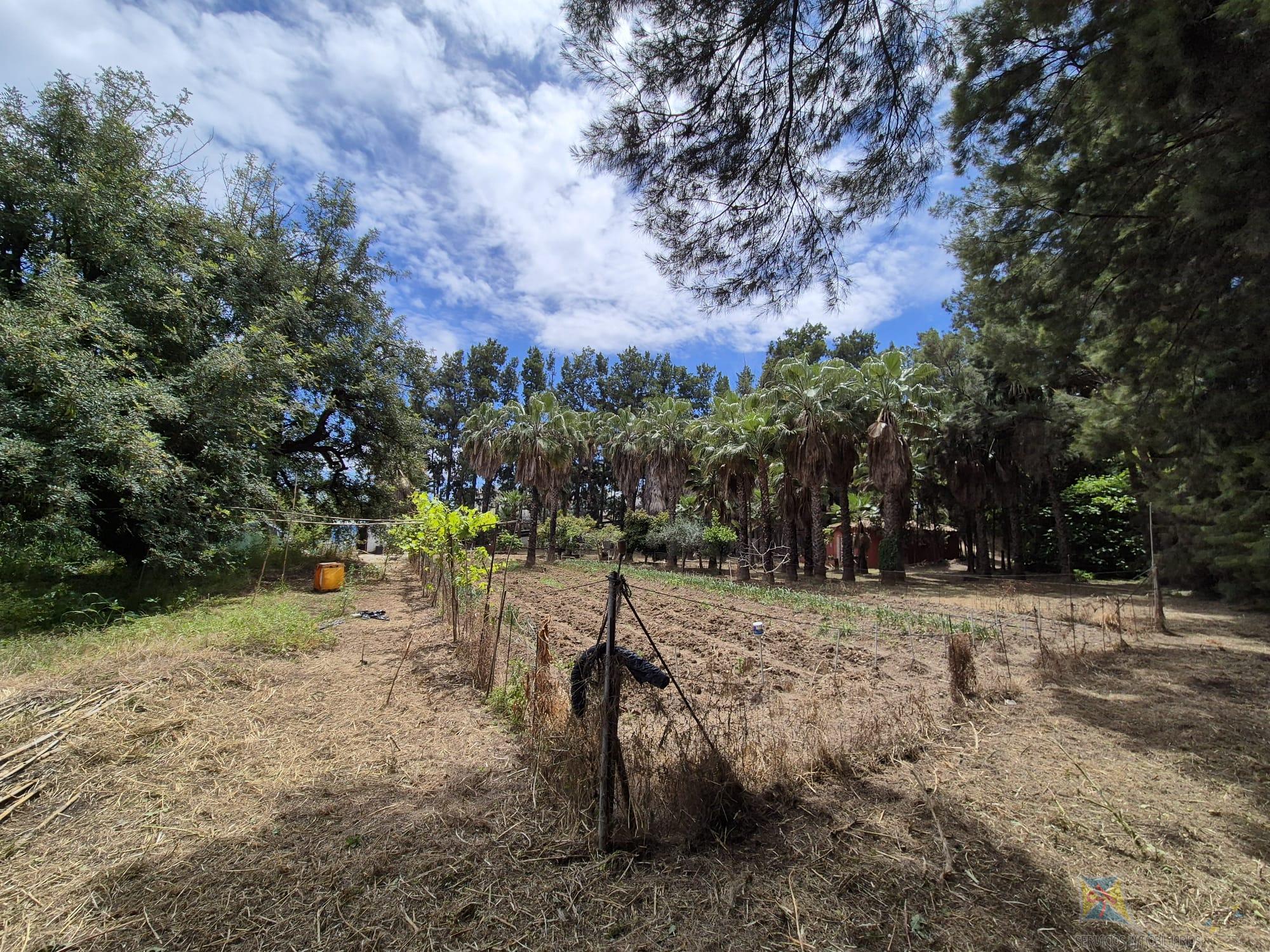 For sale of house in Estepona
