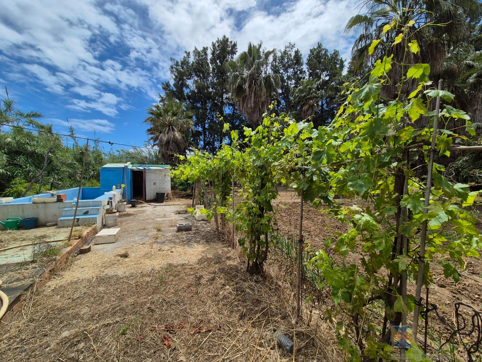 For sale of house in Estepona