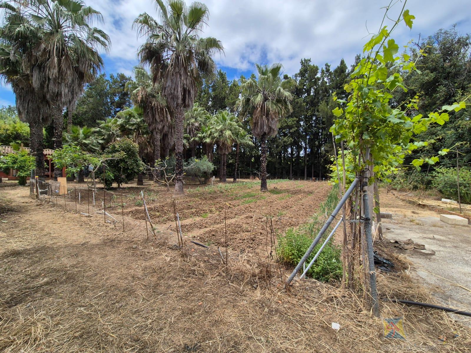 For sale of house in Estepona