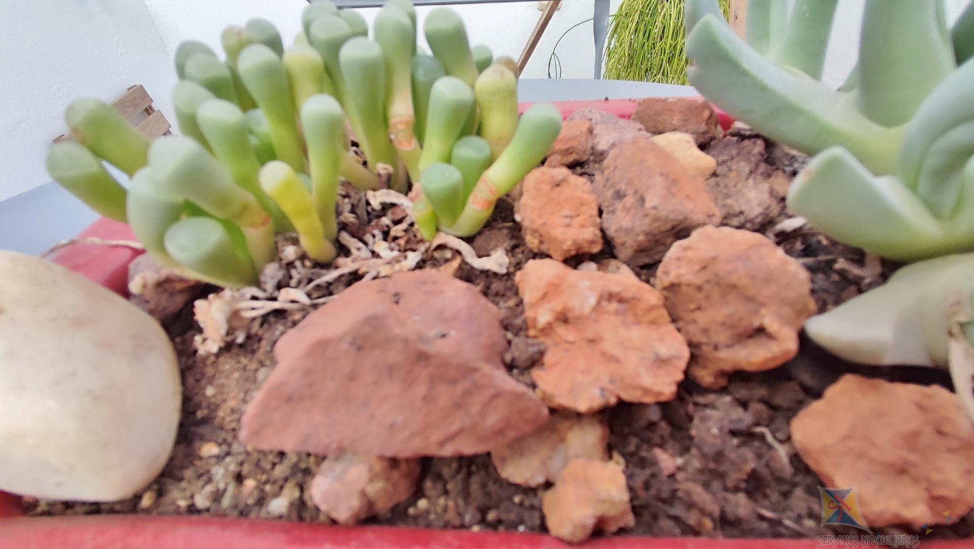 Venta de casa en Níjar