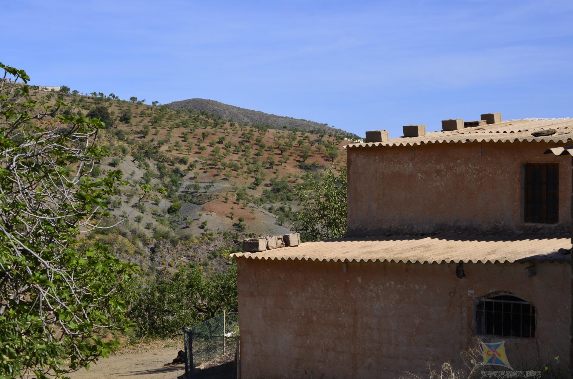 Venta de cortijo en Murtas