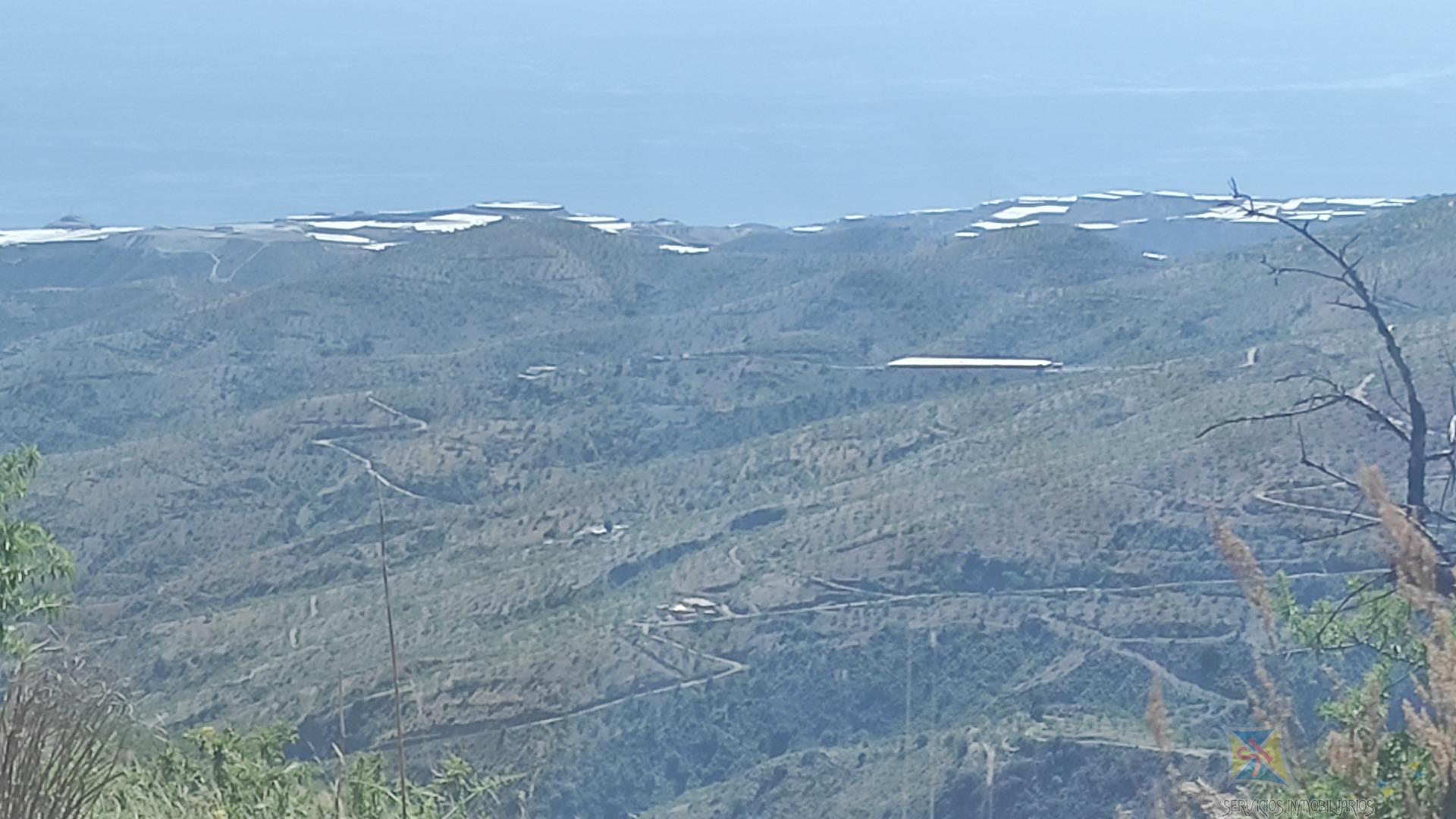 Venta de cortijo en Murtas