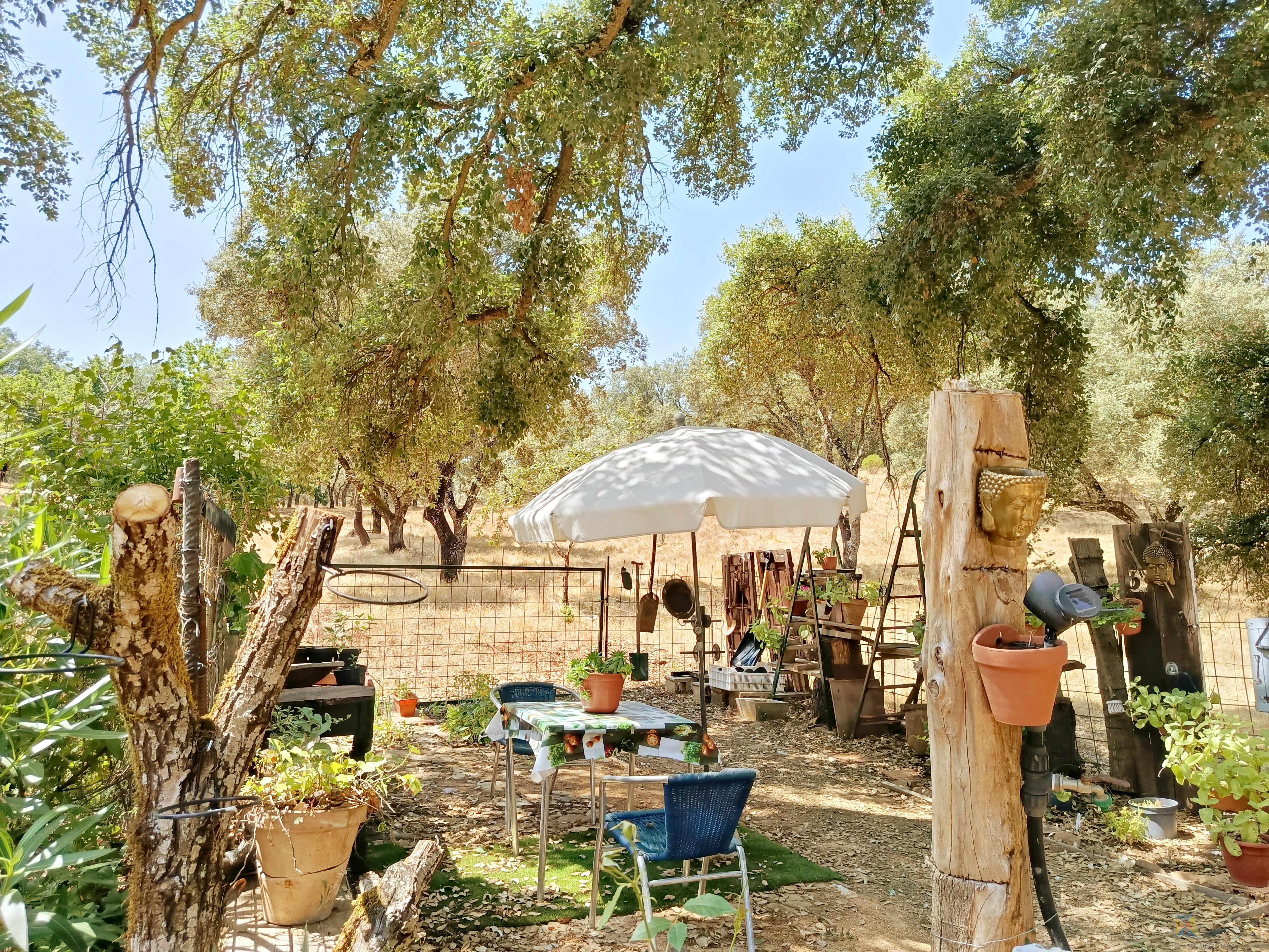 Venta de cortijo en Cortelazor