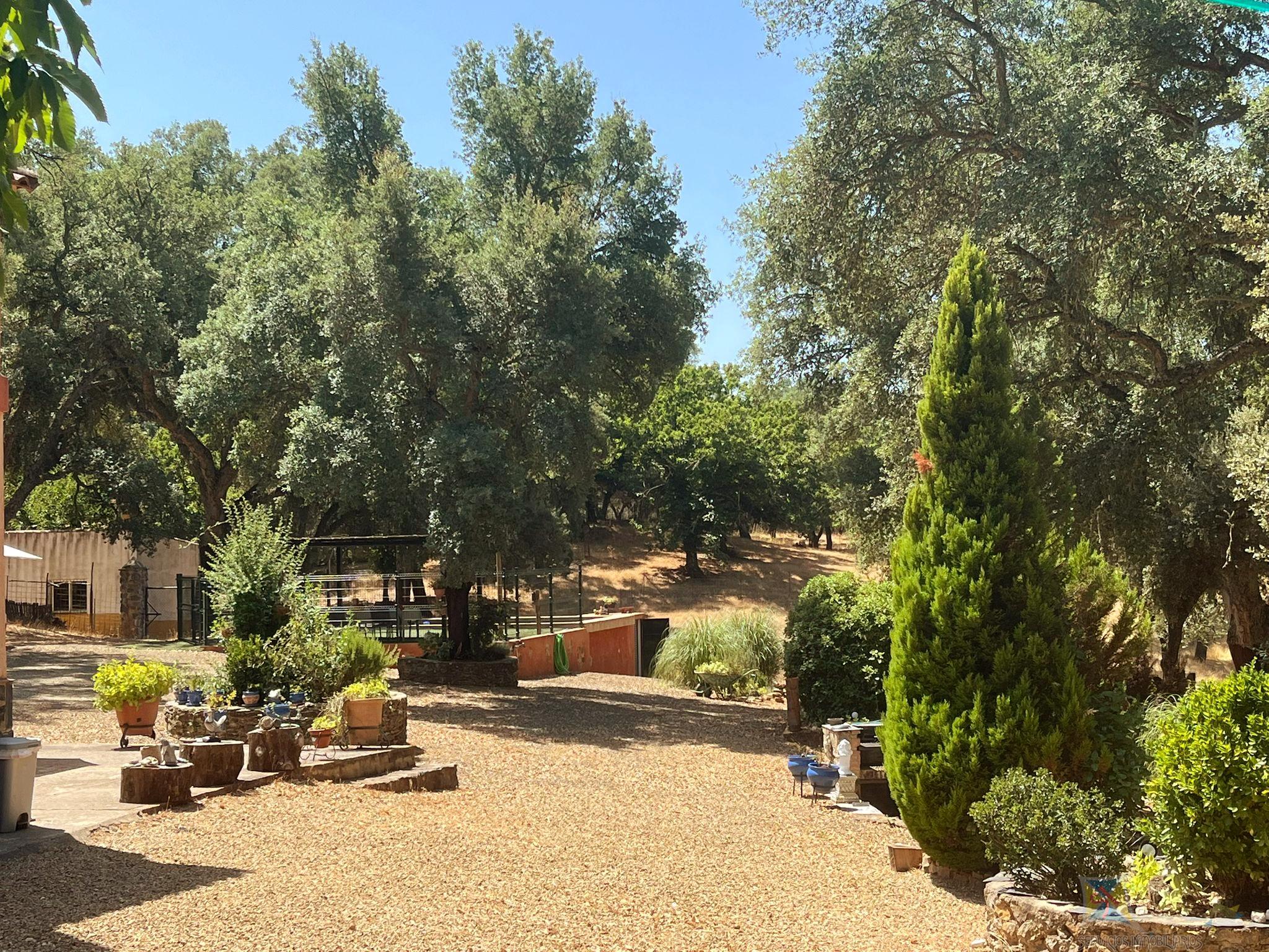 Venta de cortijo en Cortelazor