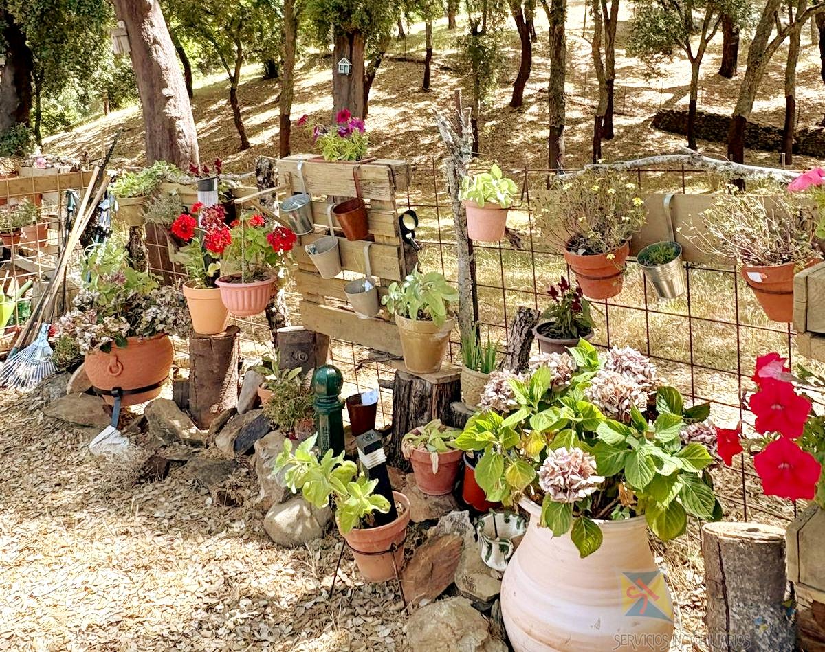 Venta de cortijo en Cortelazor