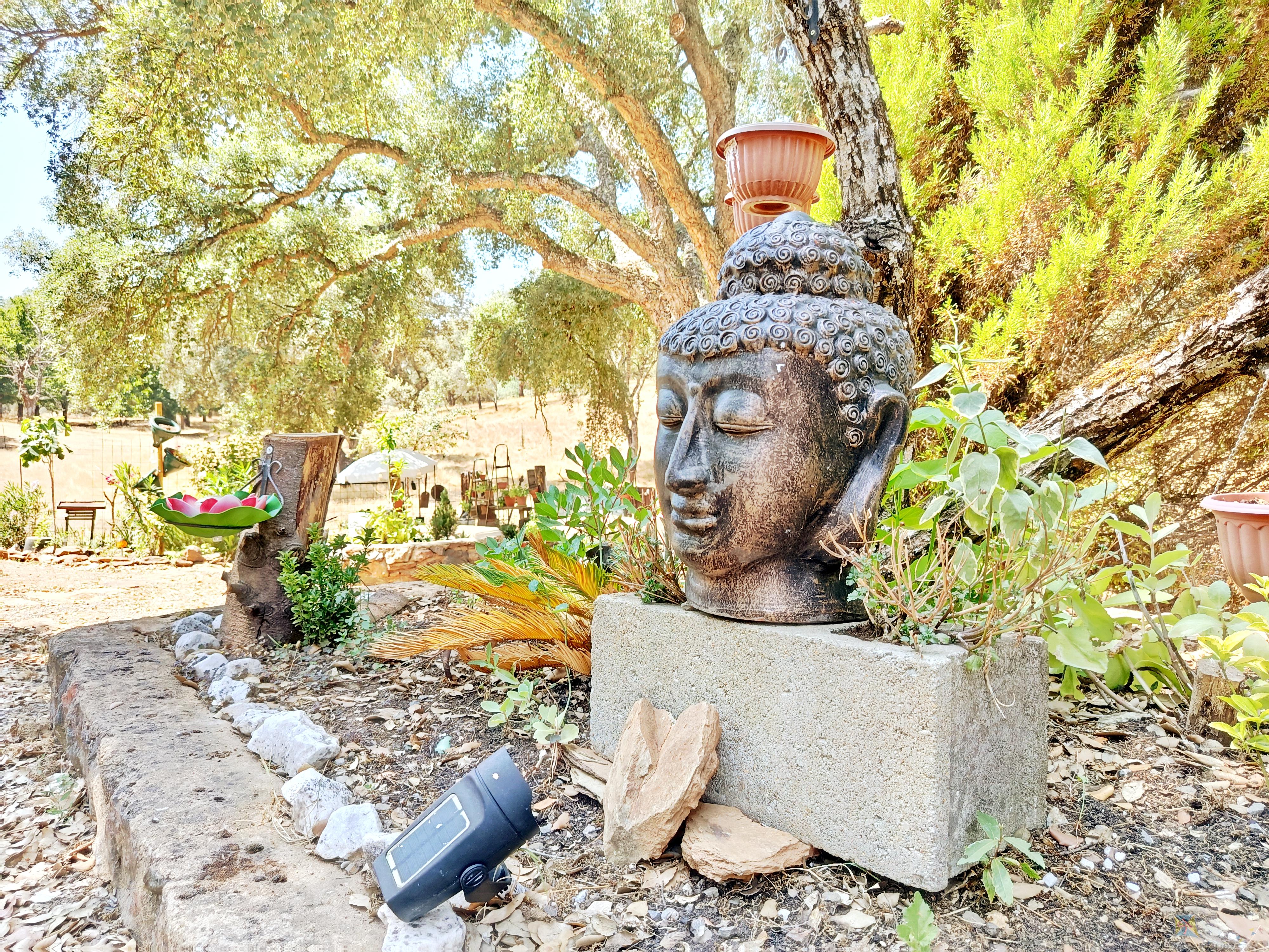 Venta de cortijo en Cortelazor