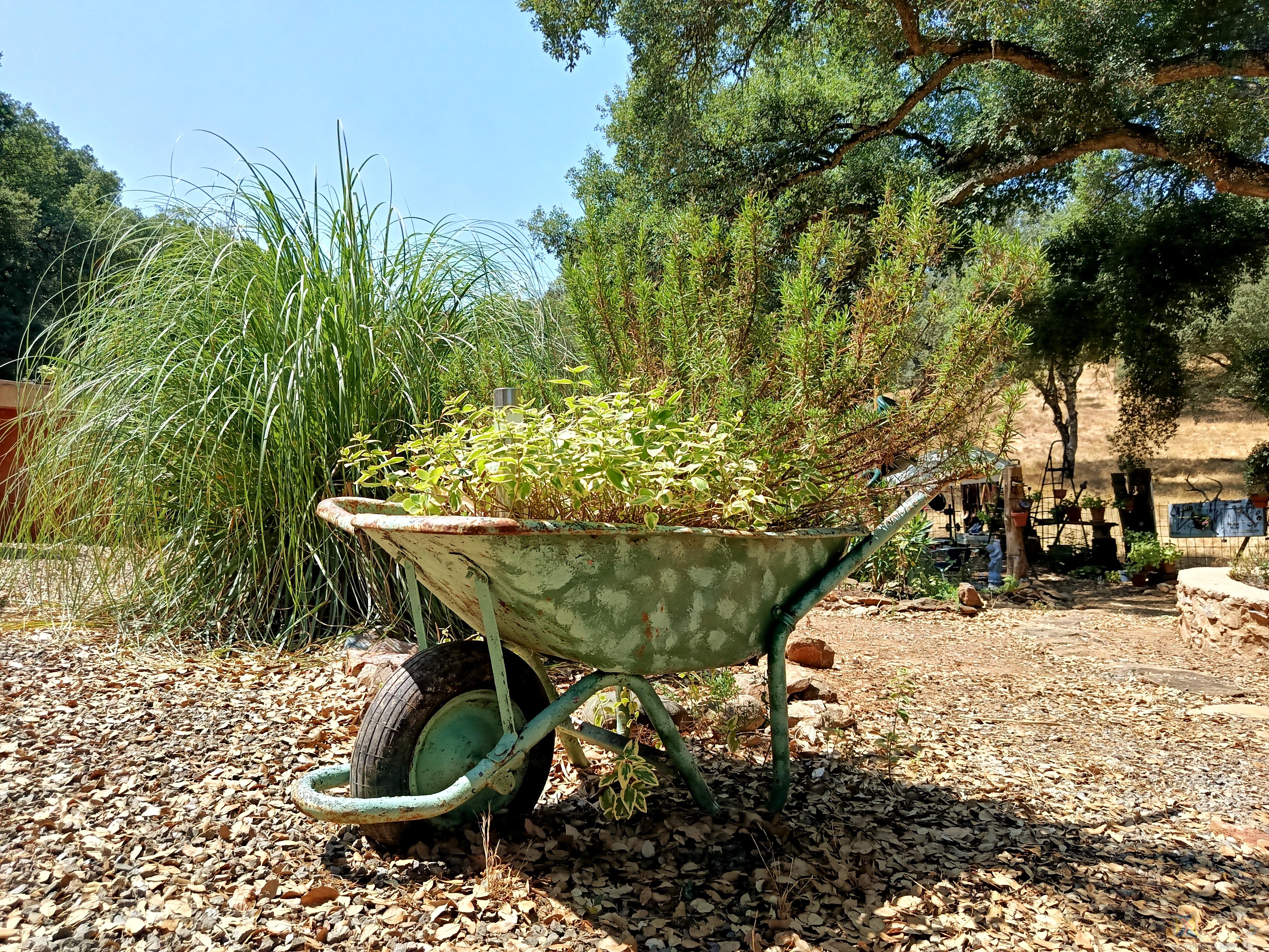 Venta de cortijo en Cortelazor