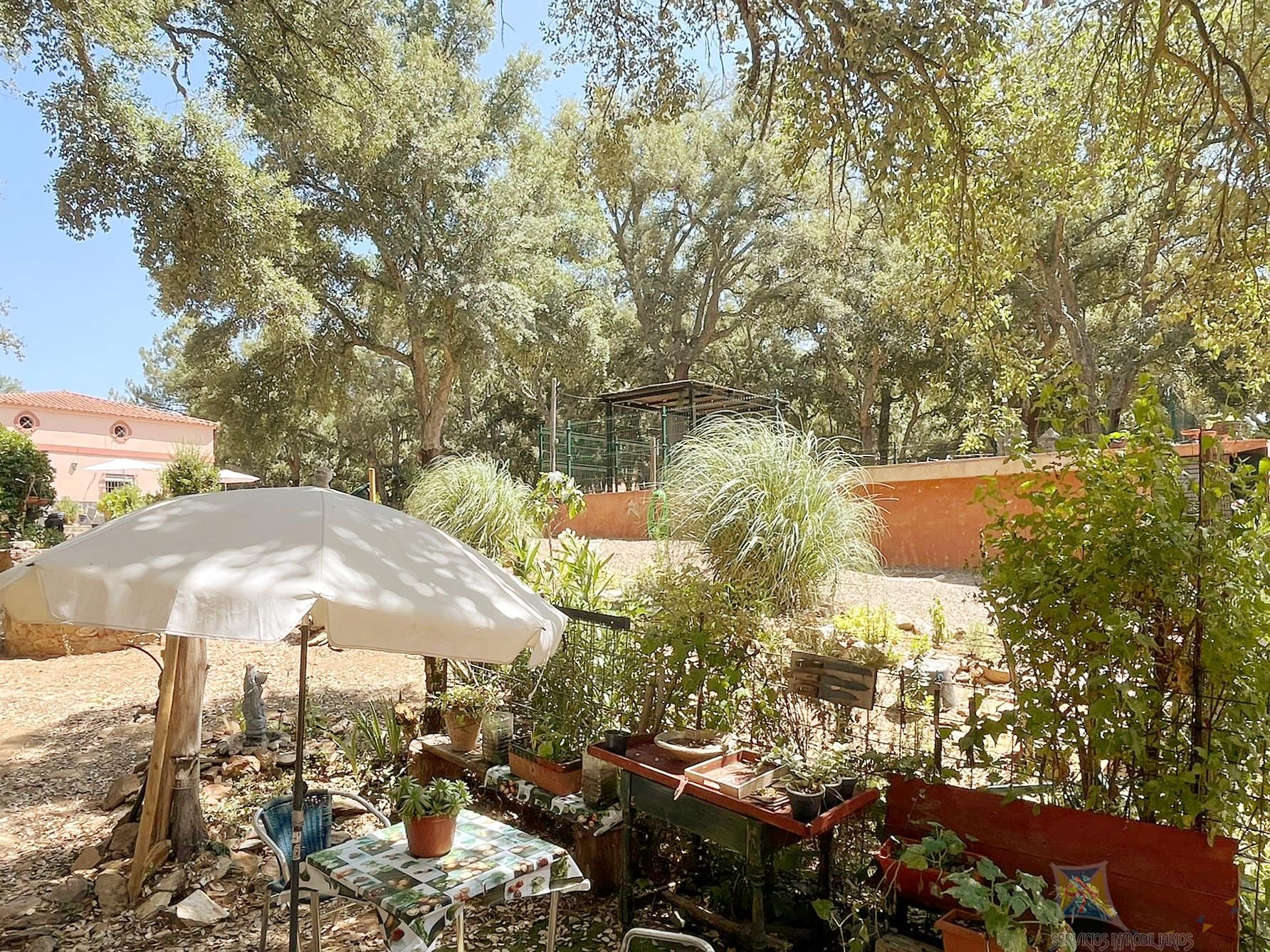 Venta de cortijo en Cortelazor