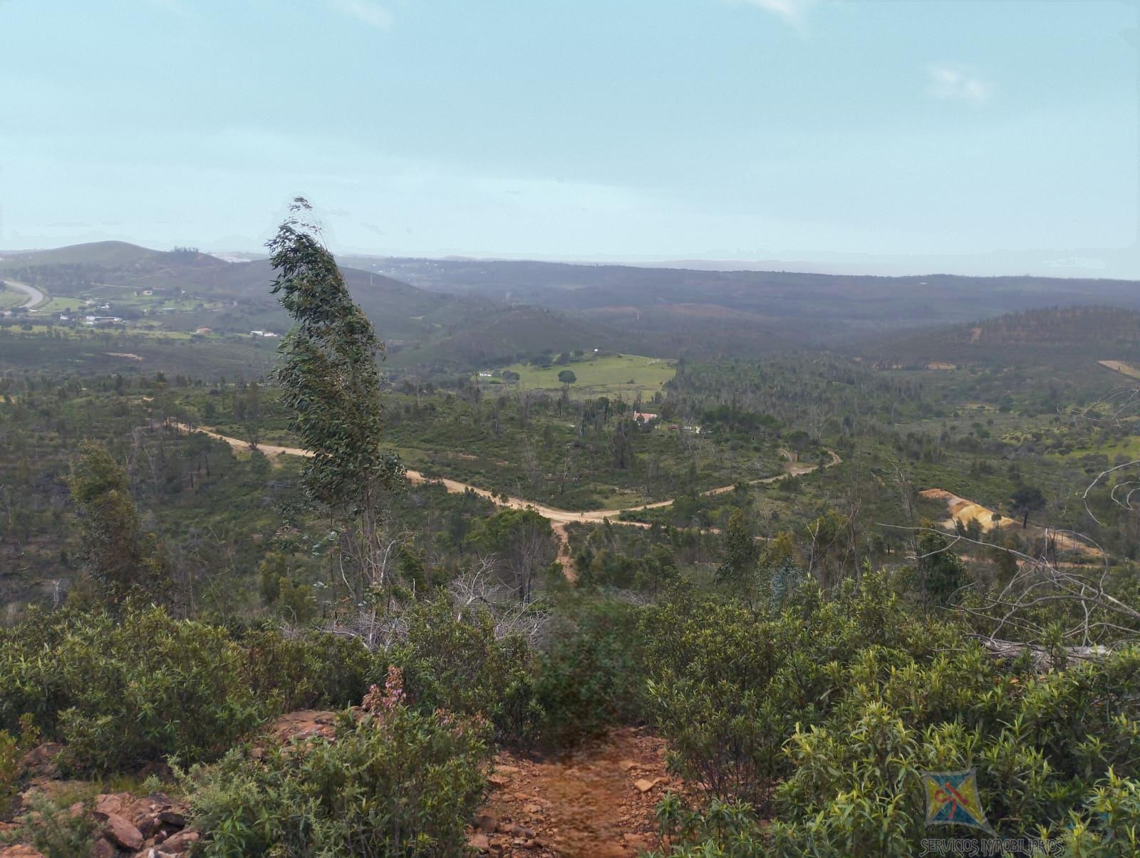 Venta de casa en El Campillo