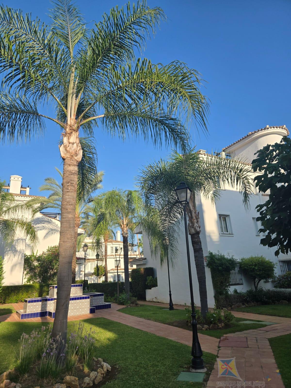 Alquiler de apartamento en Marbella