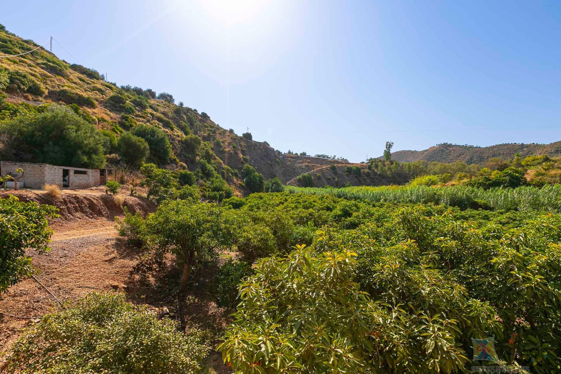 Venta de chalet en Mijas