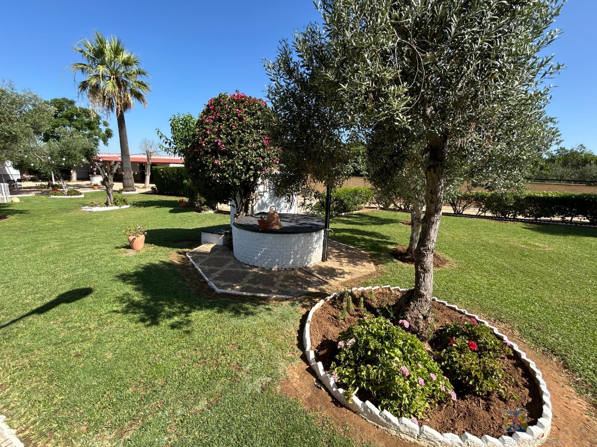 Venta de chalet en Villanueva del Ariscal