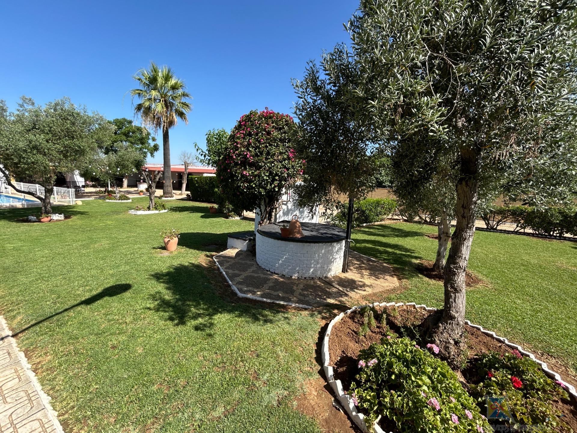 Venta de chalet en Villanueva del Ariscal