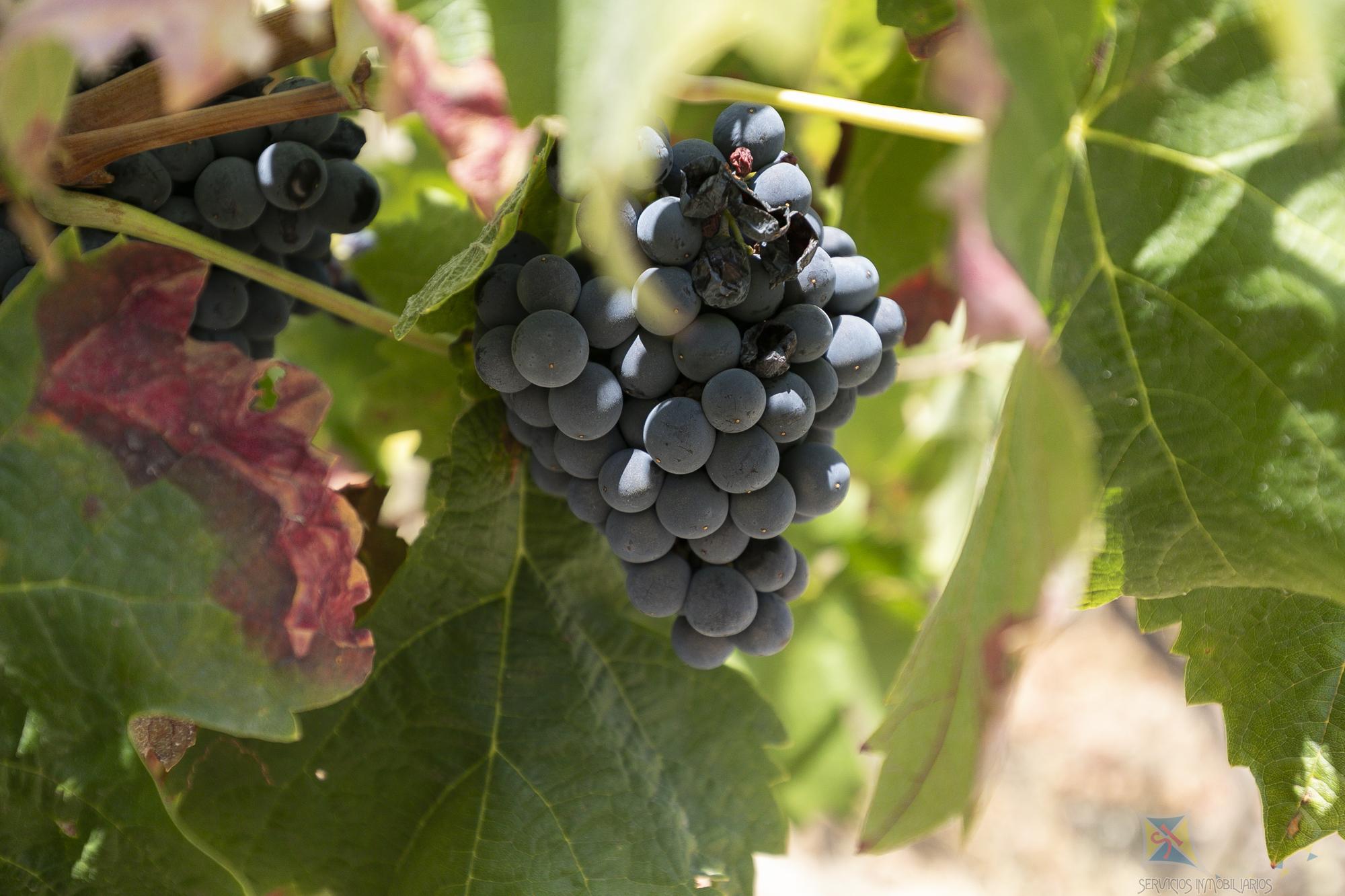 Venta de local en Granada