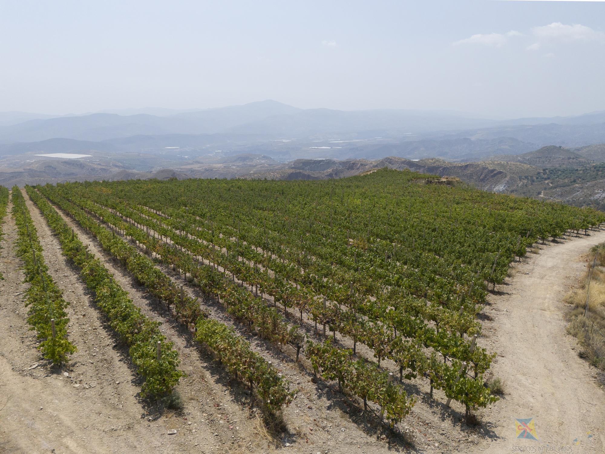 Venta de local en Granada