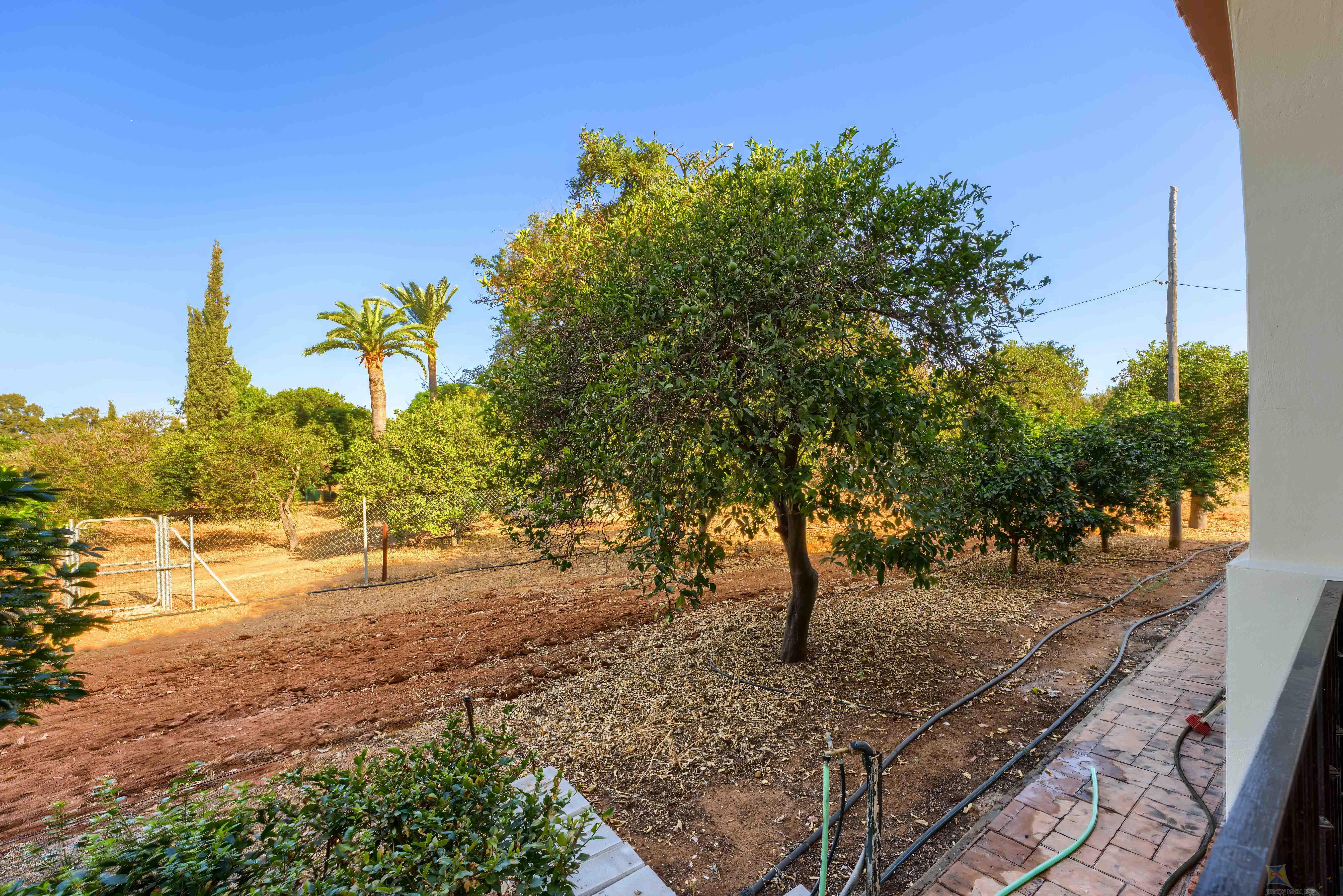 Venta de casa en Mairena del Alcor