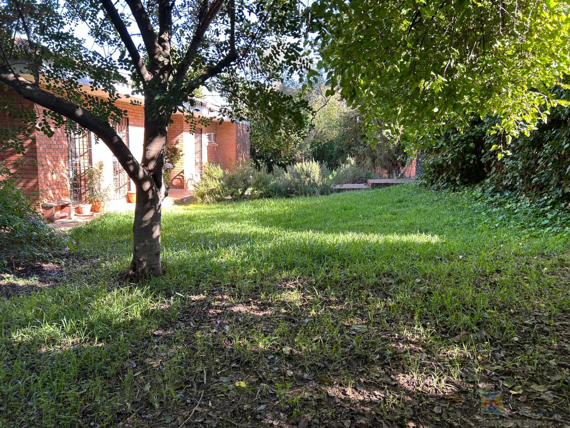 Venta de chalet en Mairena del Aljarafe