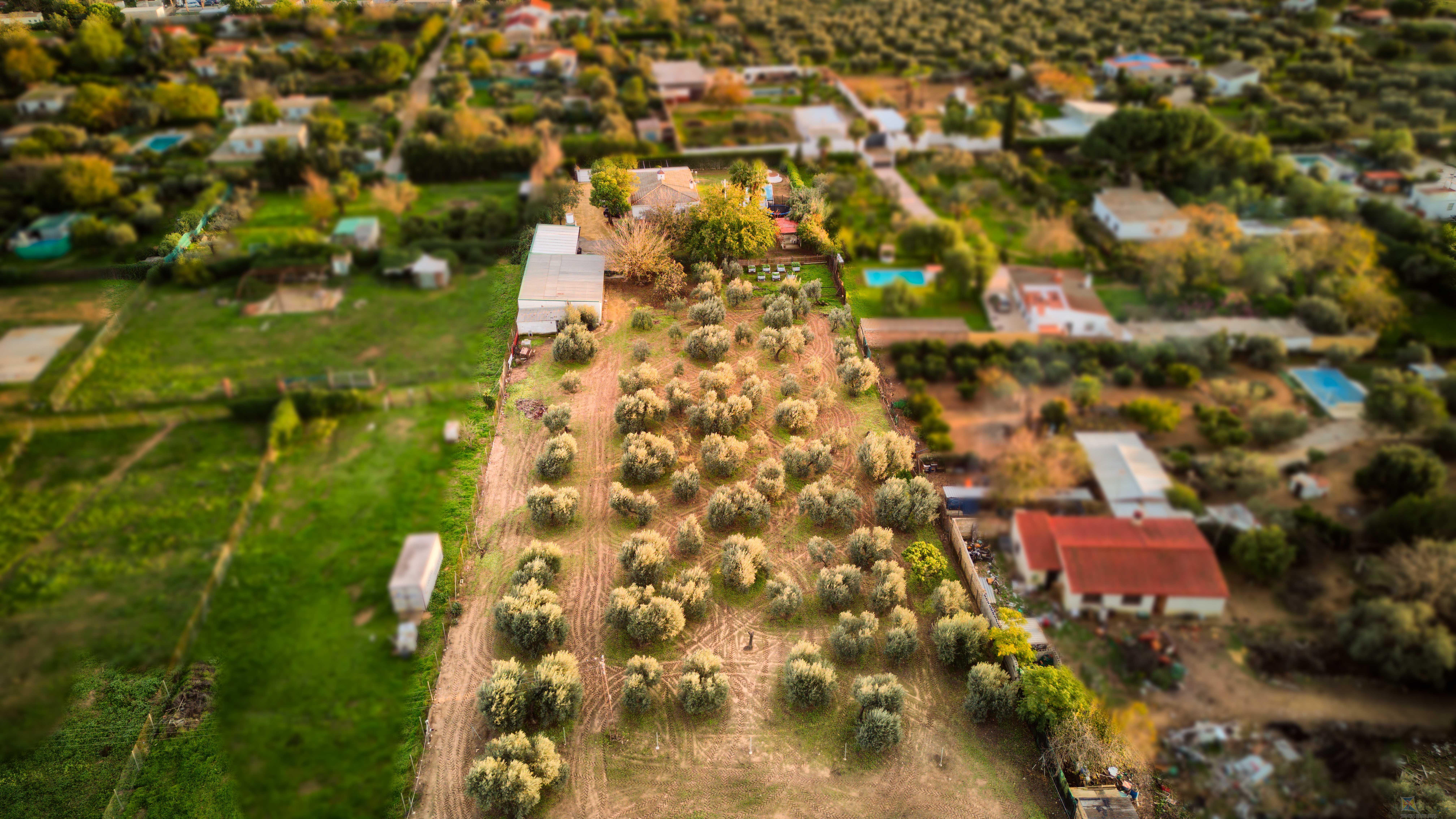 Venta de casa en Utrera