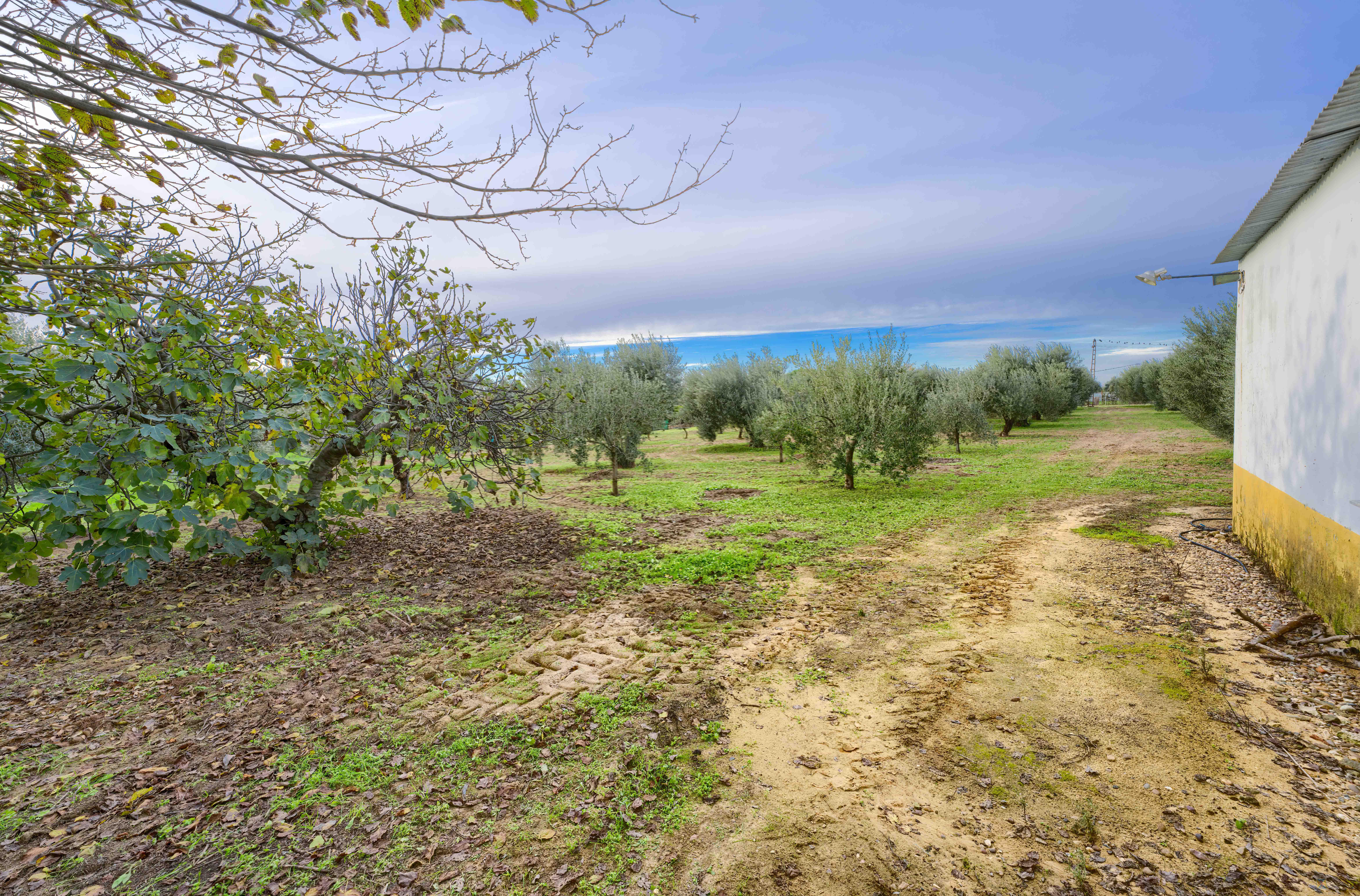 Venta de casa en Utrera