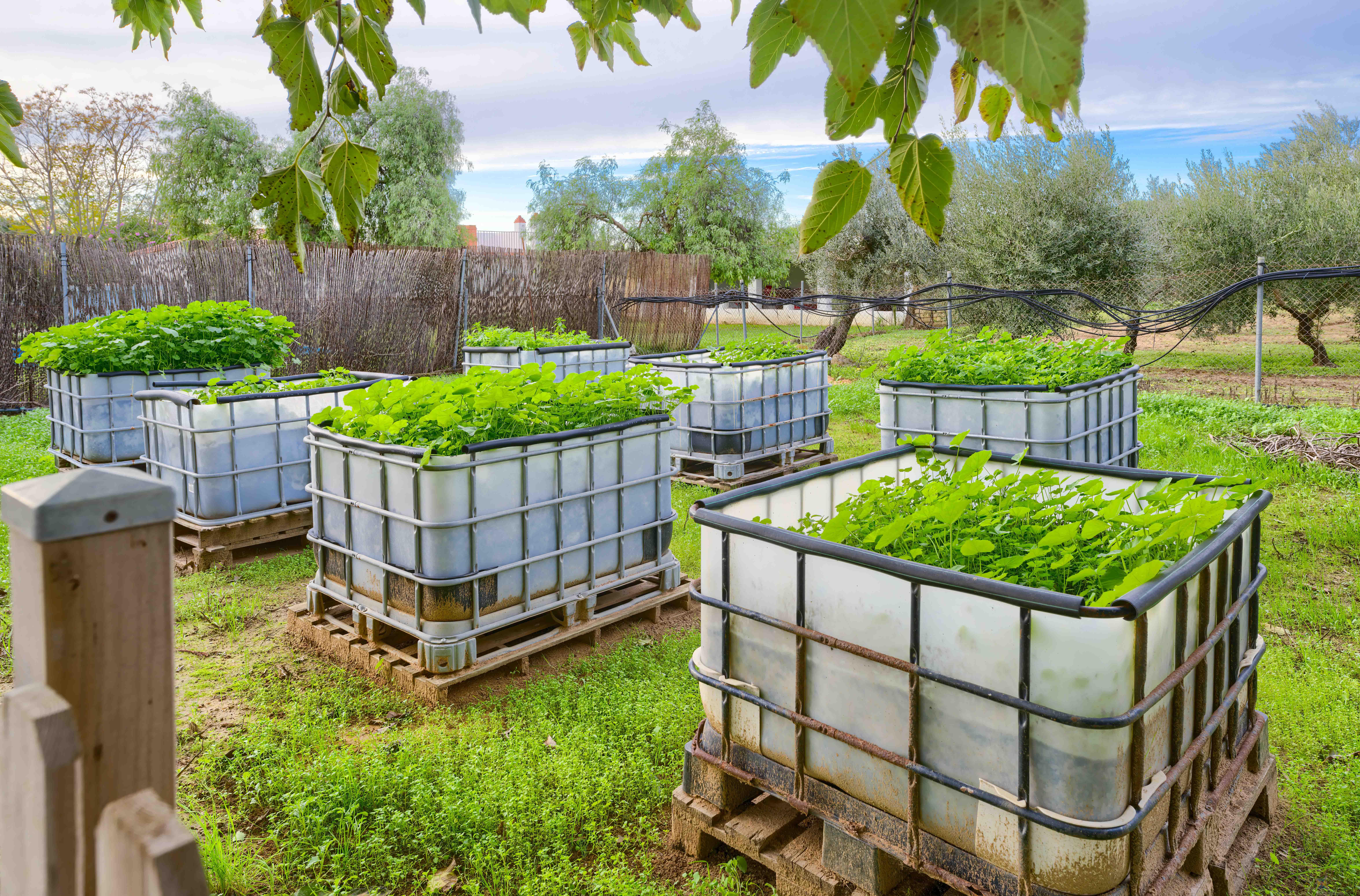 Venta de casa en Utrera