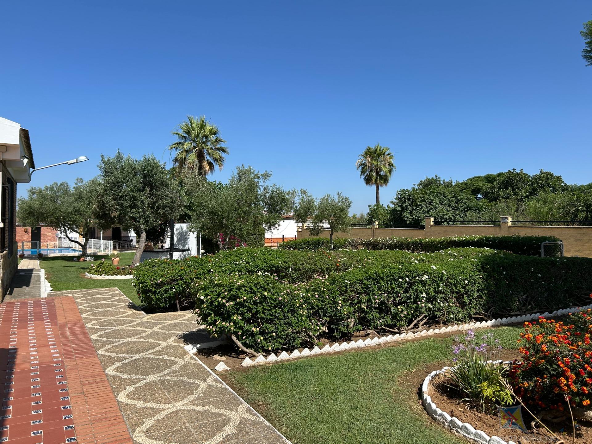 Venta de  en Villanueva del Ariscal