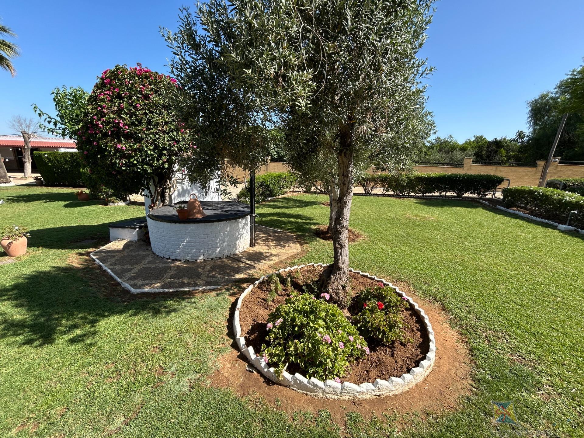 Venta de  en Villanueva del Ariscal