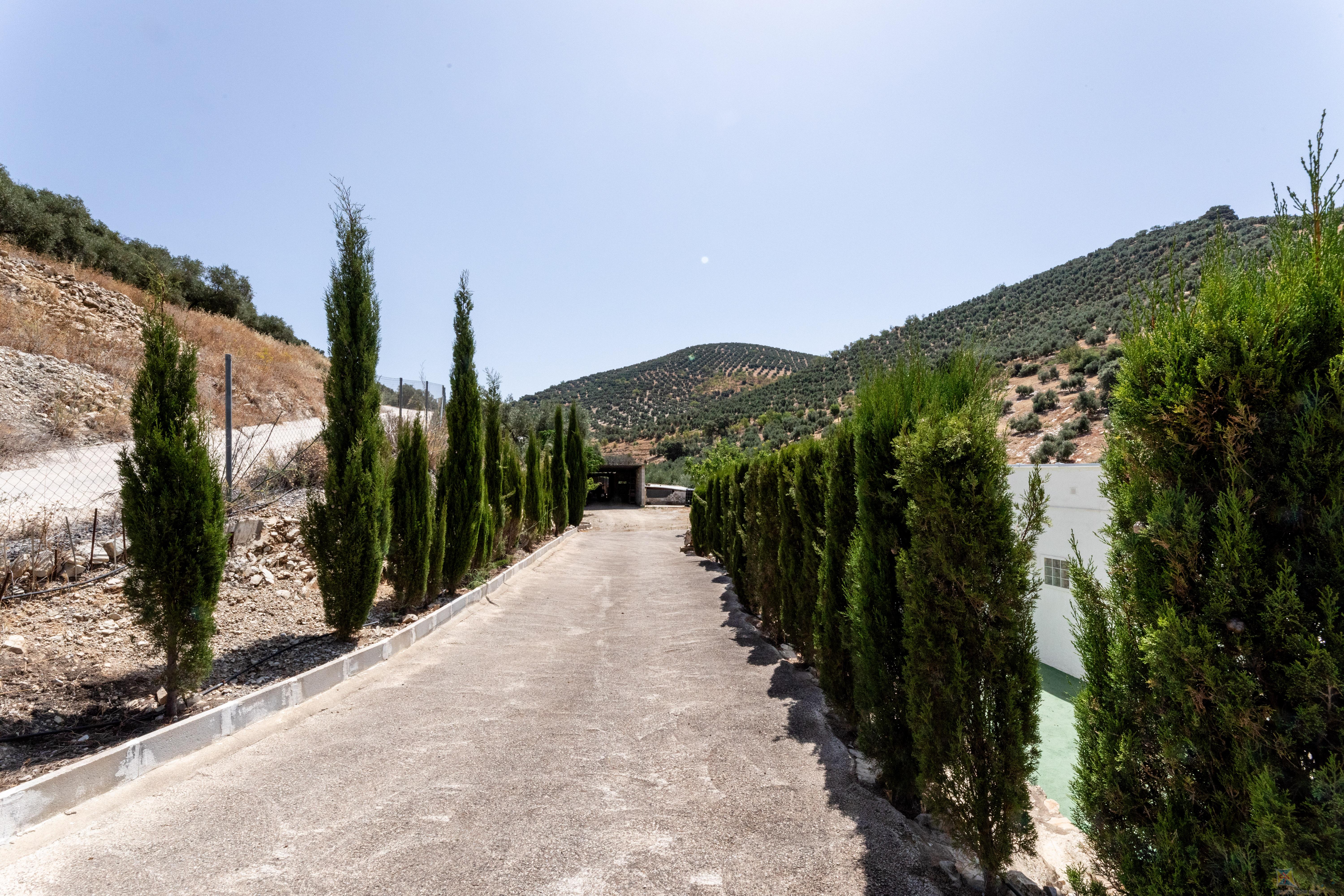 Venta de cortijo en Cuevas de San Marcos