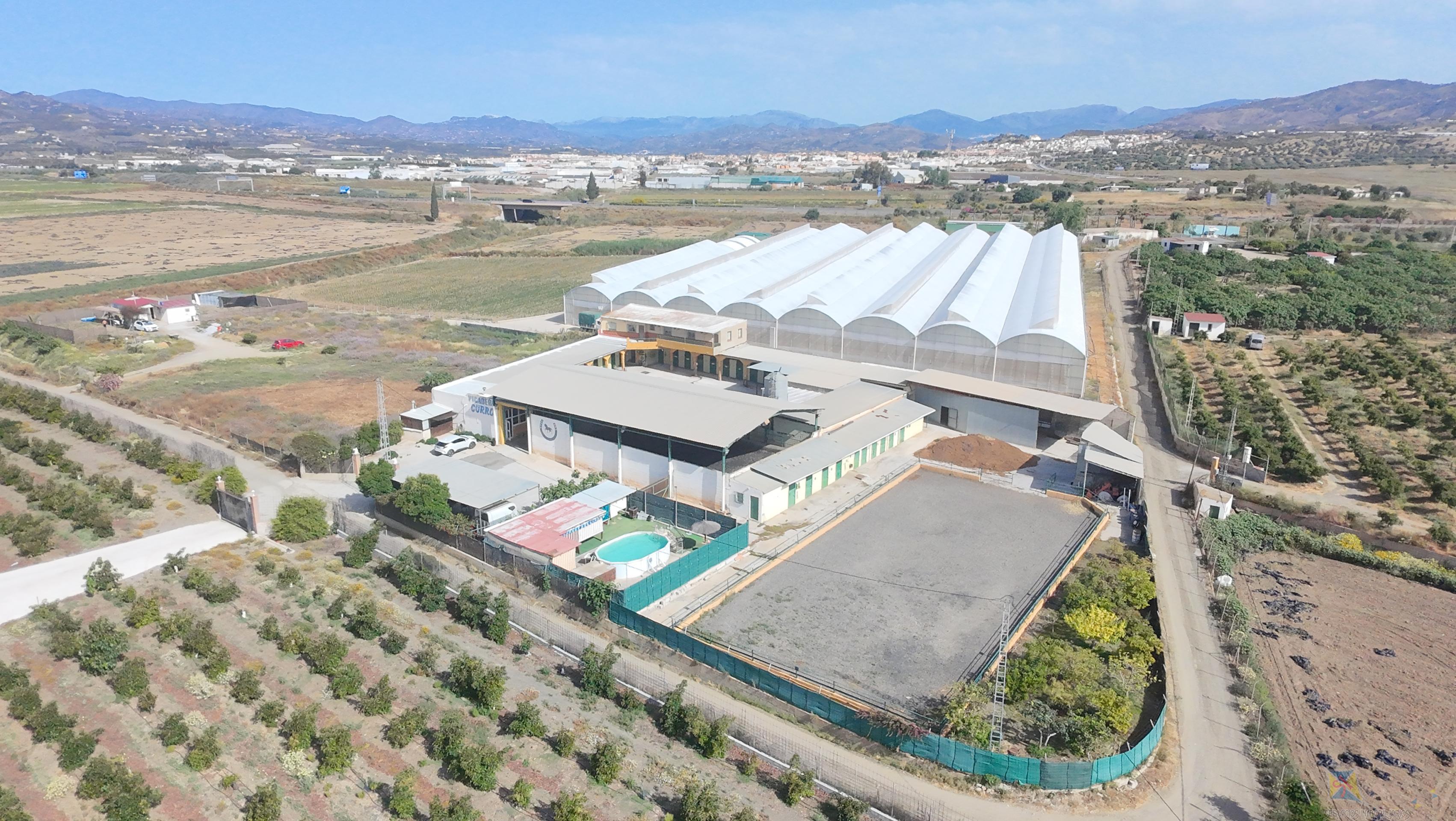 Venta de cortijo en Torre del mar