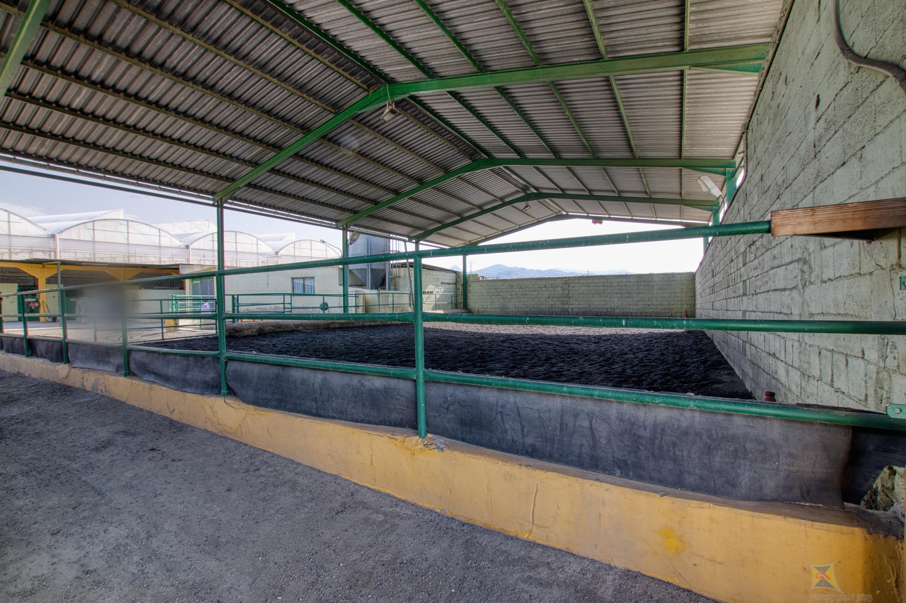 Venta de cortijo en Torre del mar