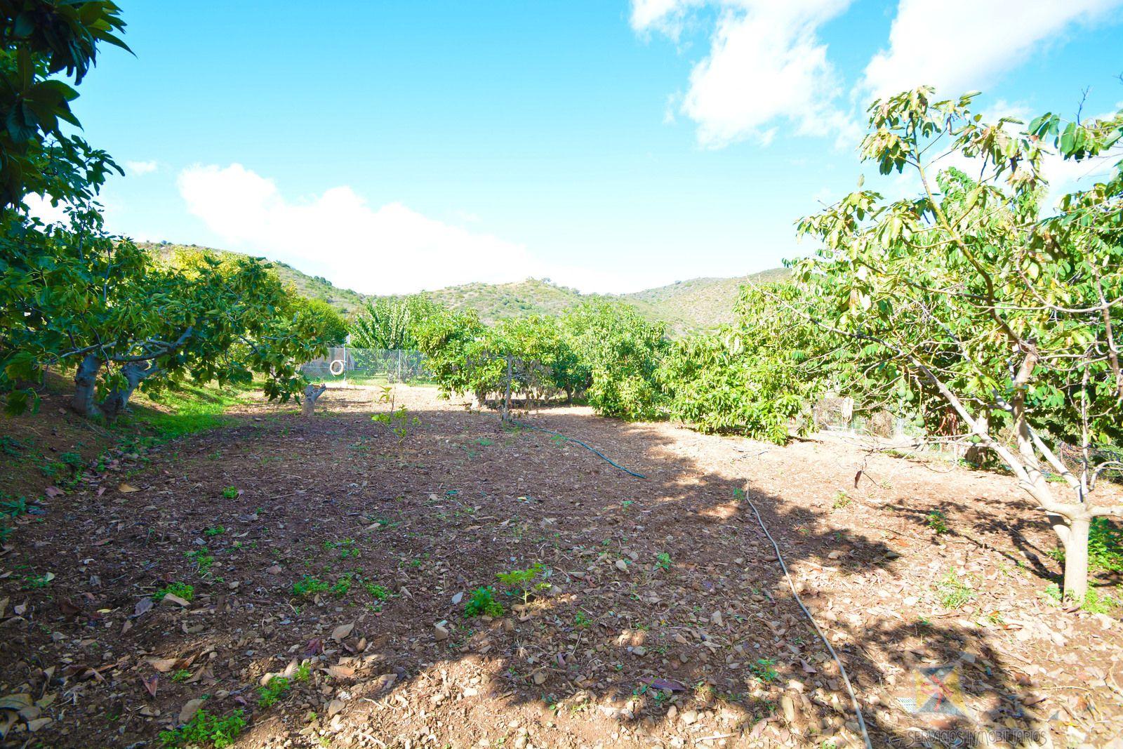 Venta de casa en Marbella