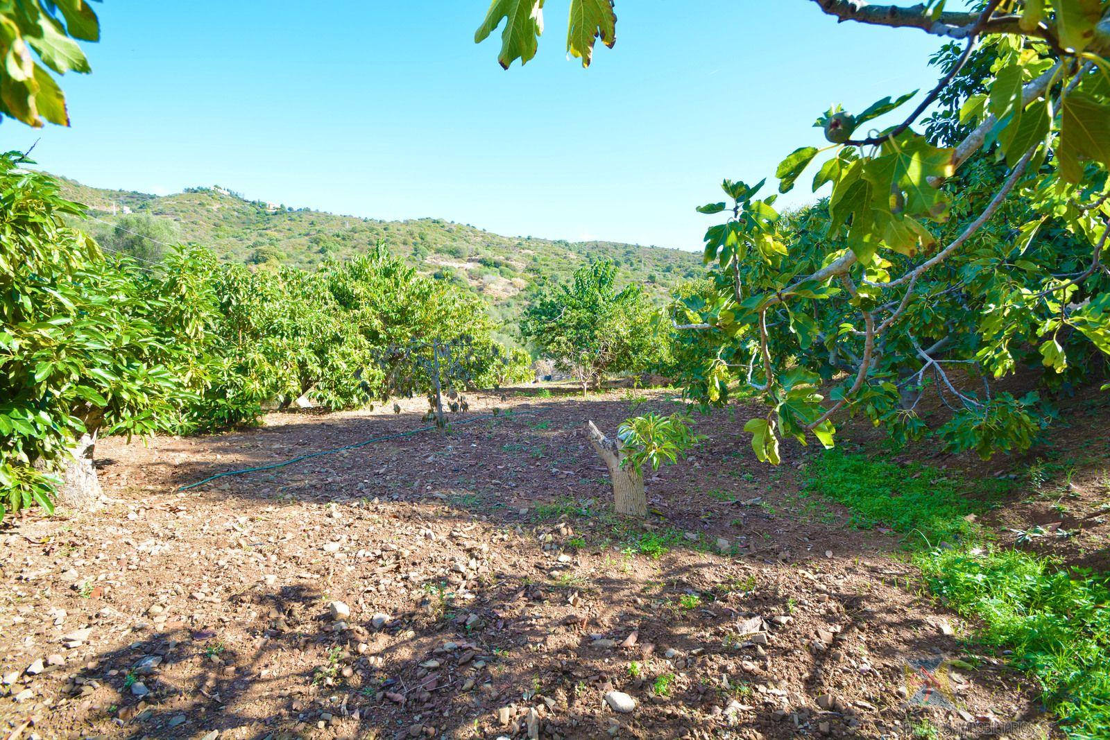 Venta de casa en Marbella