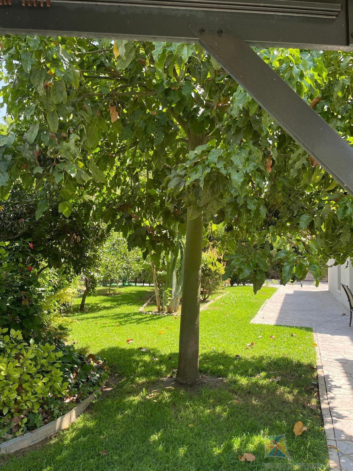 Venta de chalet en Mairena del Aljarafe